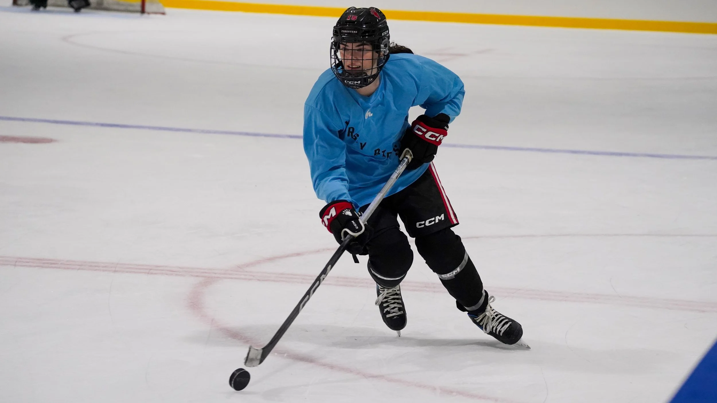 2026.07.29 Jersey Birds Hockey-01.jpg