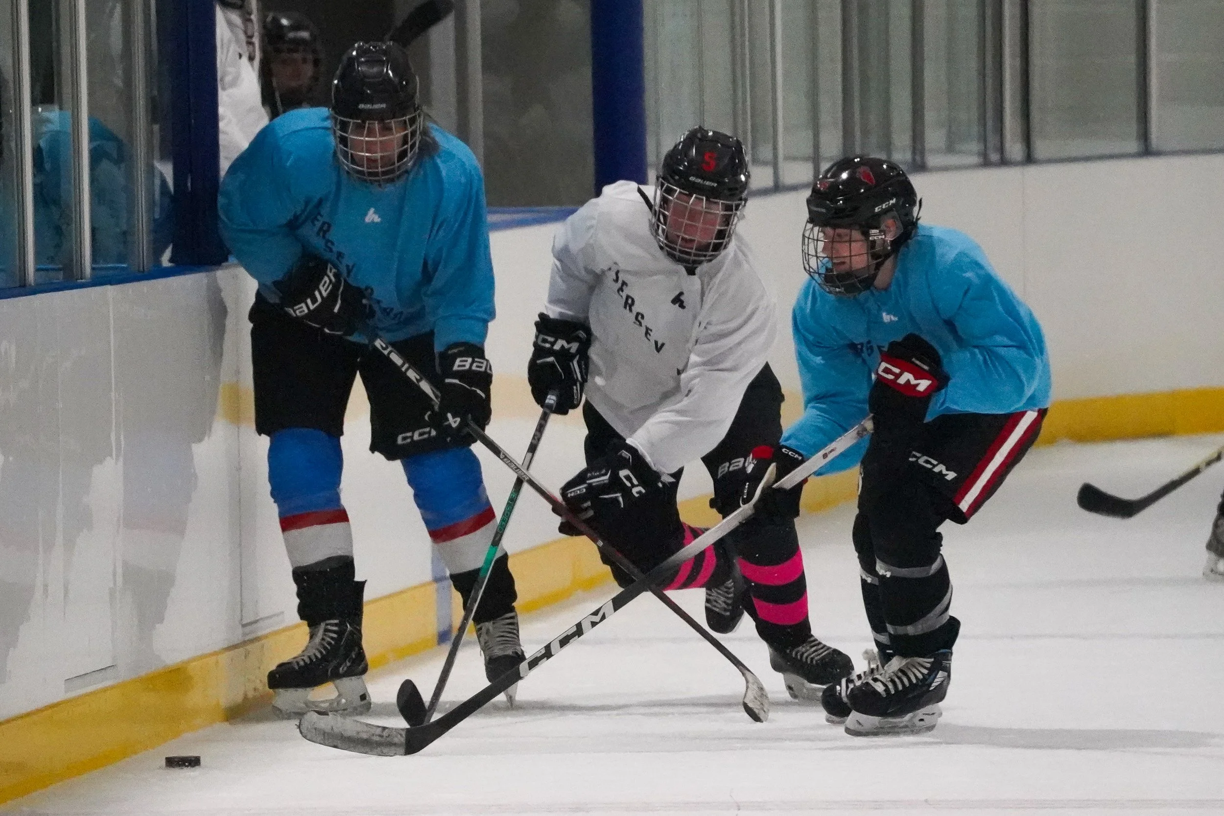 2026.08.26 Jersey Birds Blue Jays vs Gulls-26.jpg