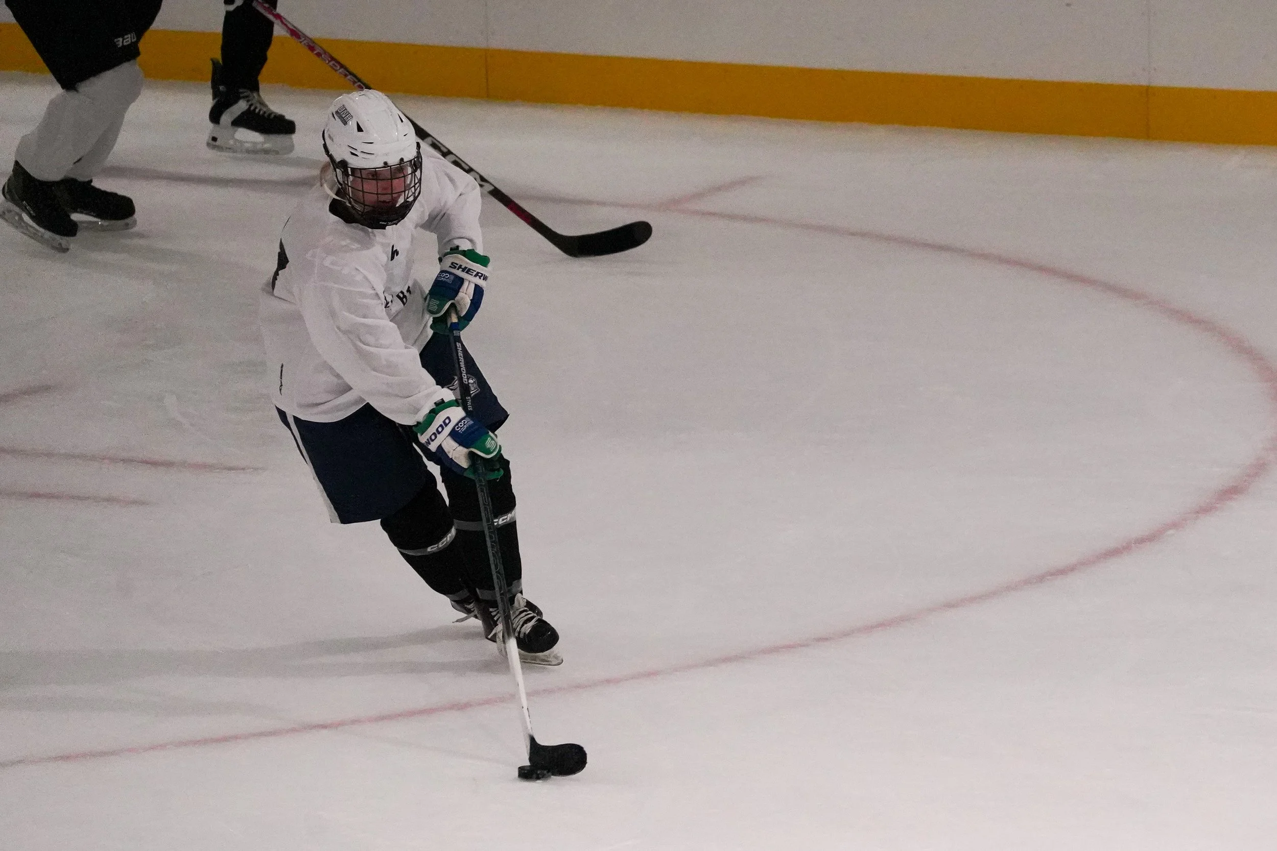 2026.08.26 Jersey Birds Blue Jays vs Gulls-09.jpg