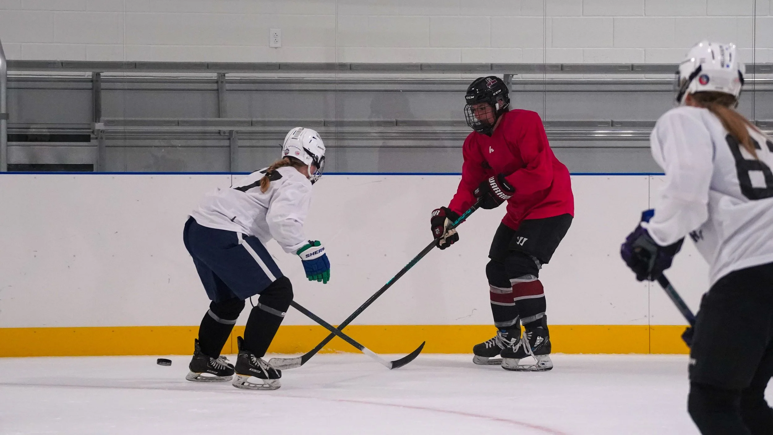 2026.07.29 Jersey Birds Hockey-16.jpg