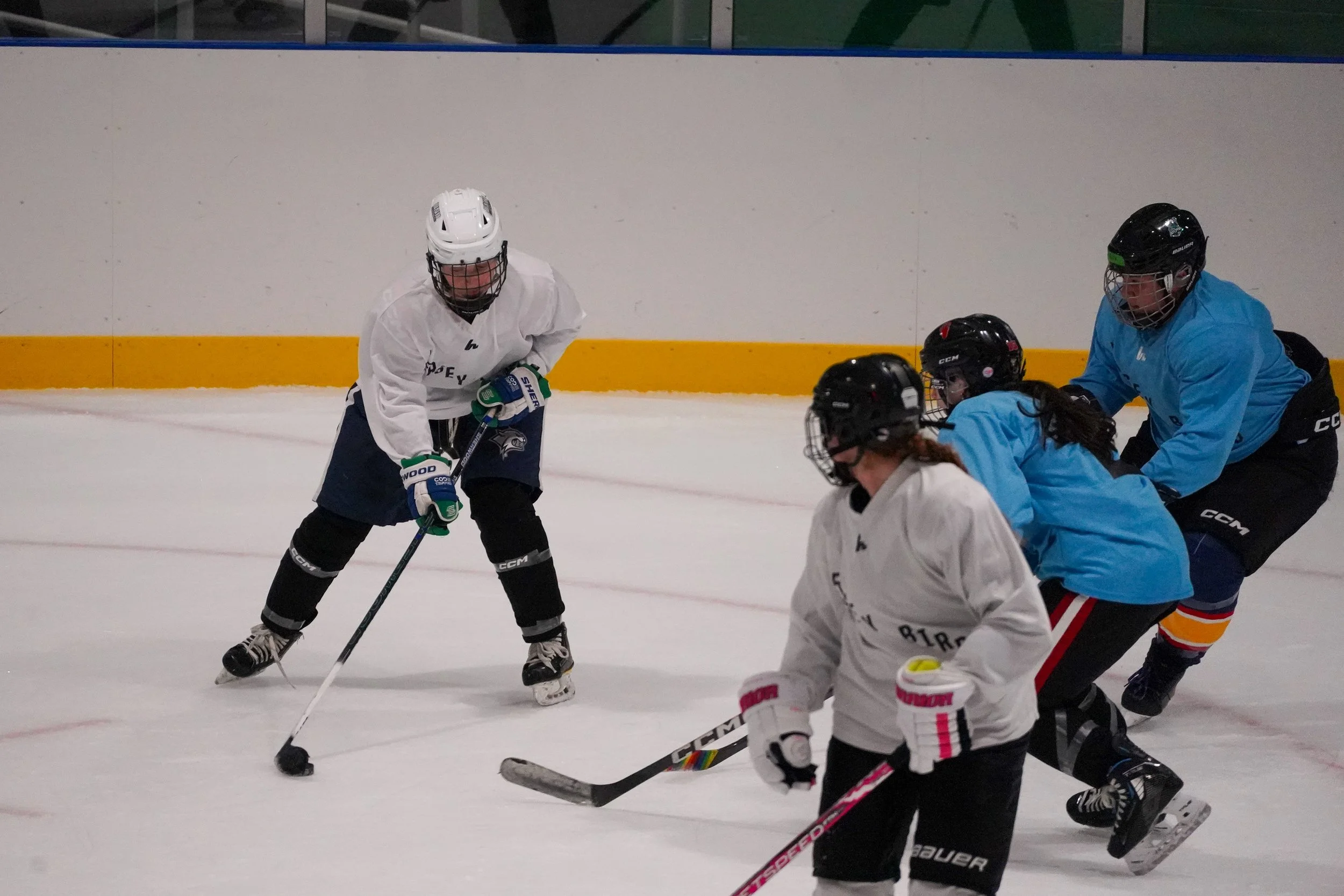 2026.08.26 Jersey Birds Blue Jays vs Gulls-03.jpg