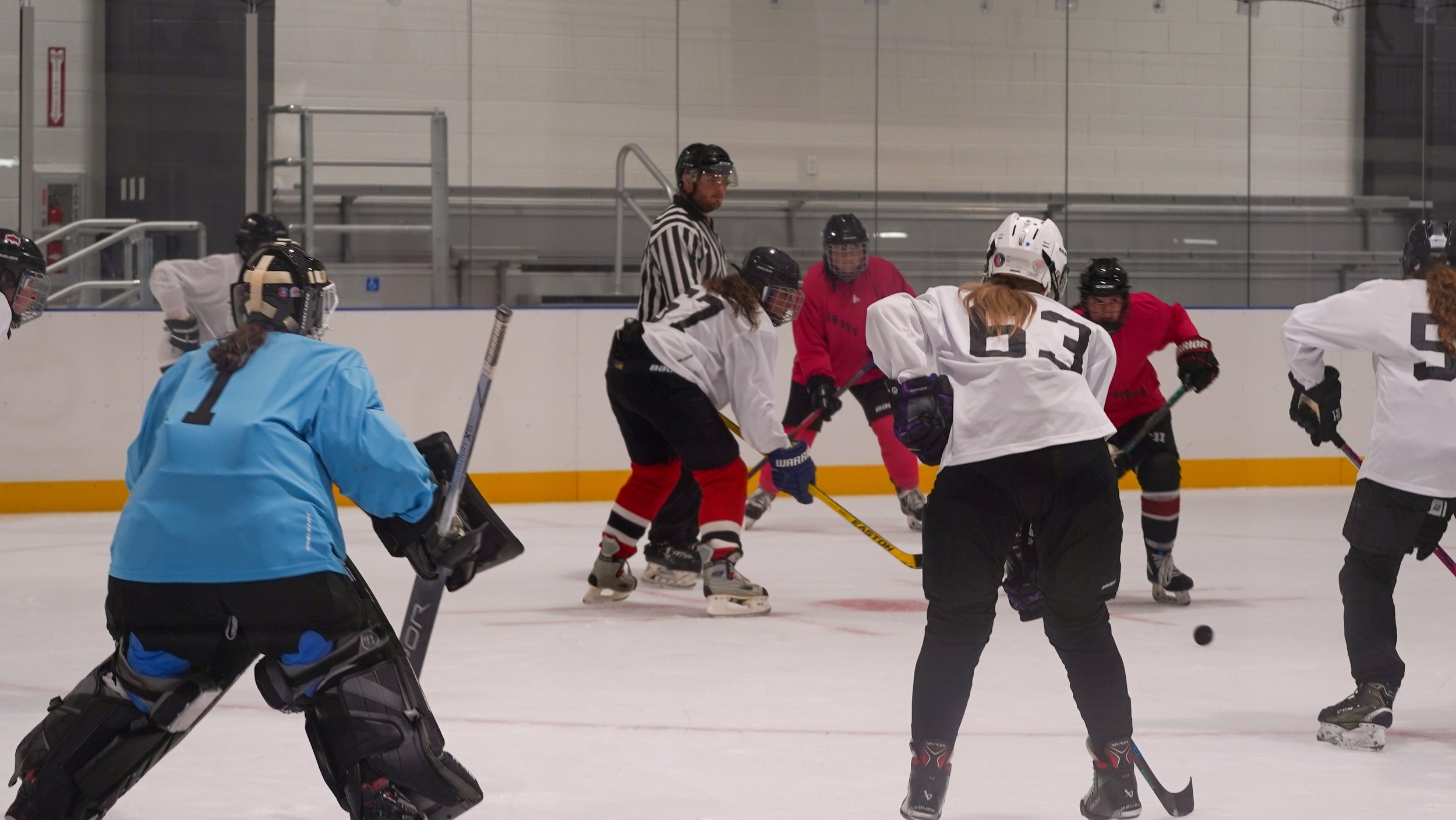 2026.07.29 Jersey Birds Hockey-19.jpg