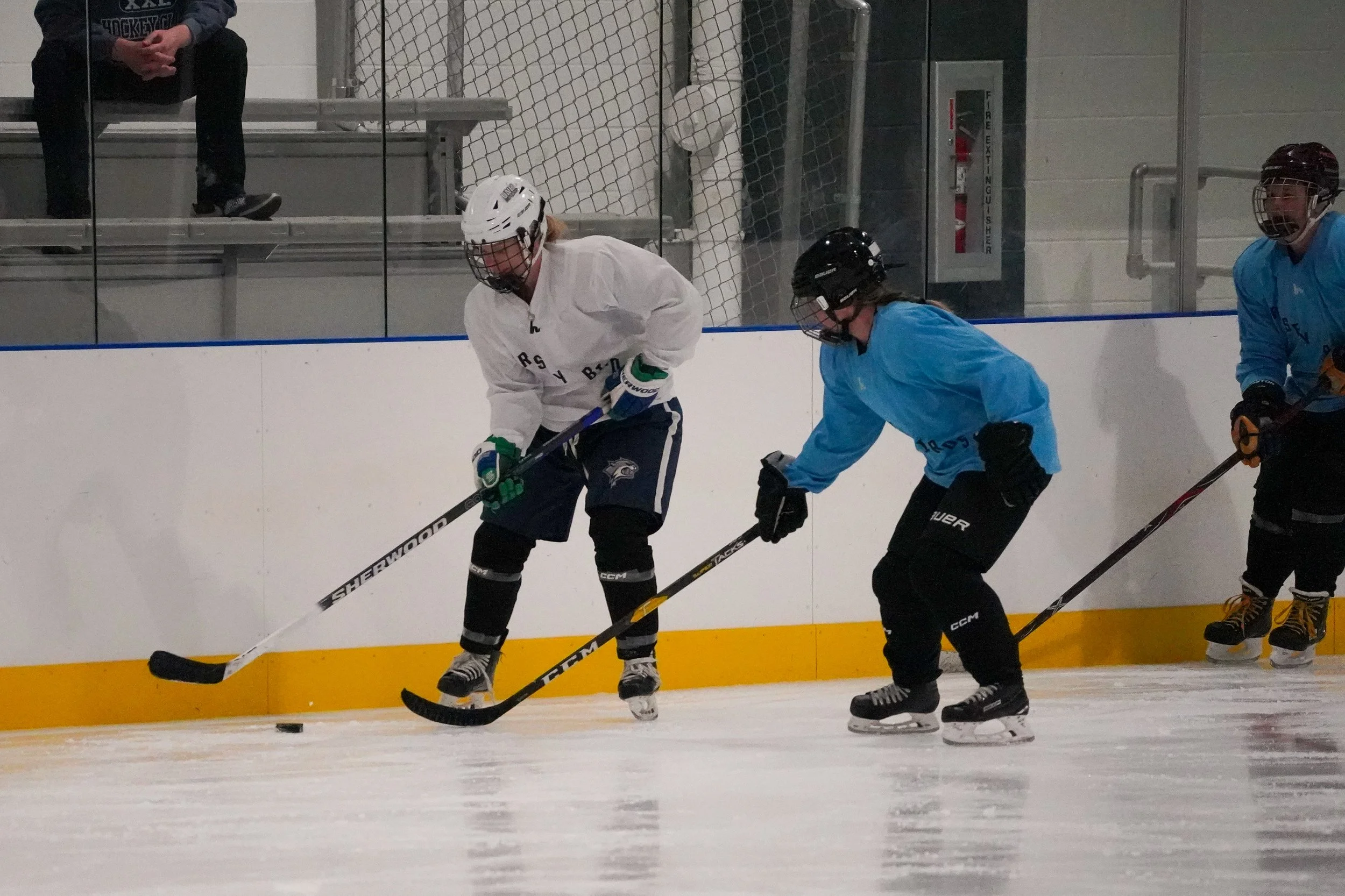 2026.08.26 Jersey Birds Blue Jays vs Gulls-55.jpg