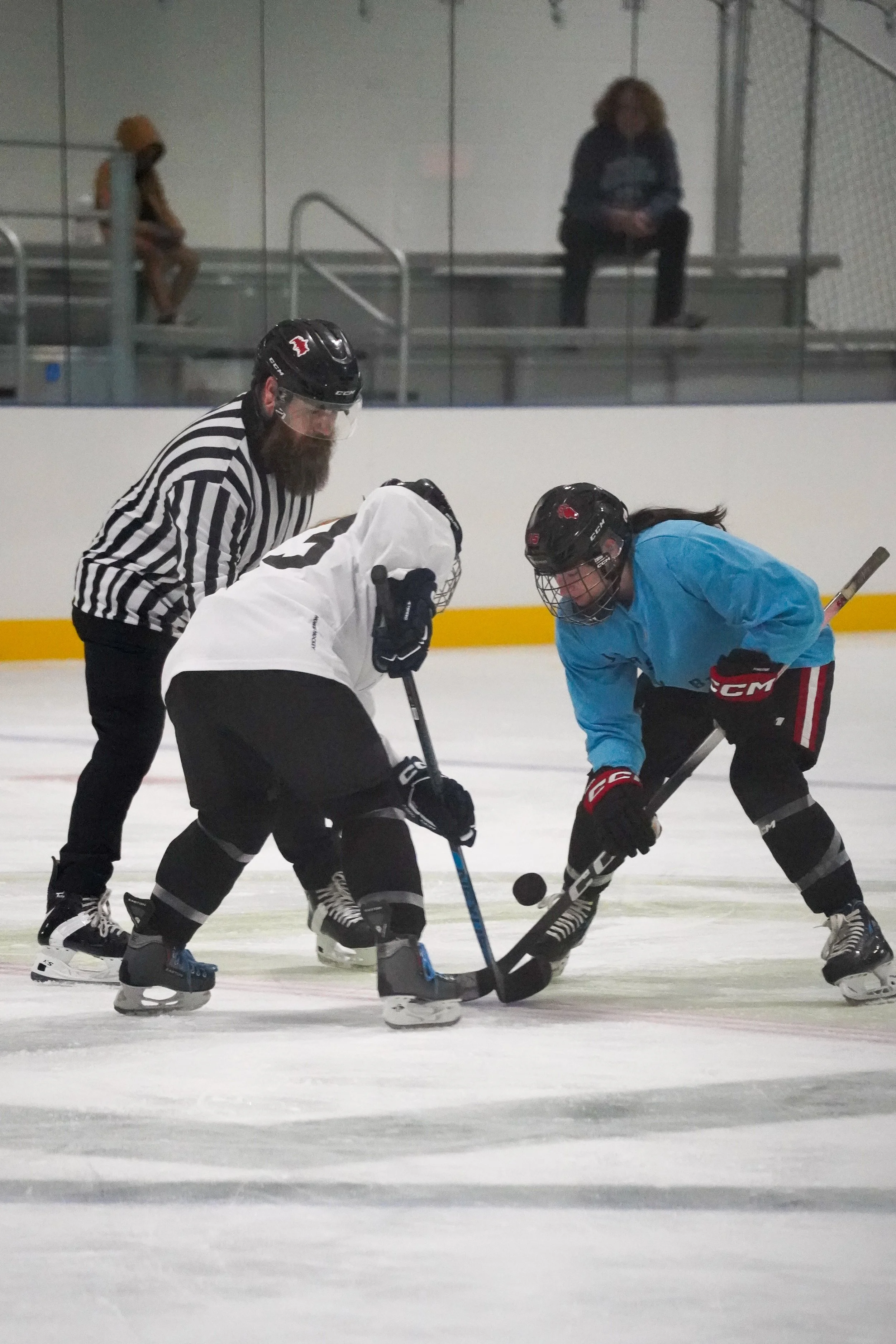 2026.08.26 Jersey Birds Blue Jays vs Gulls-50.jpg