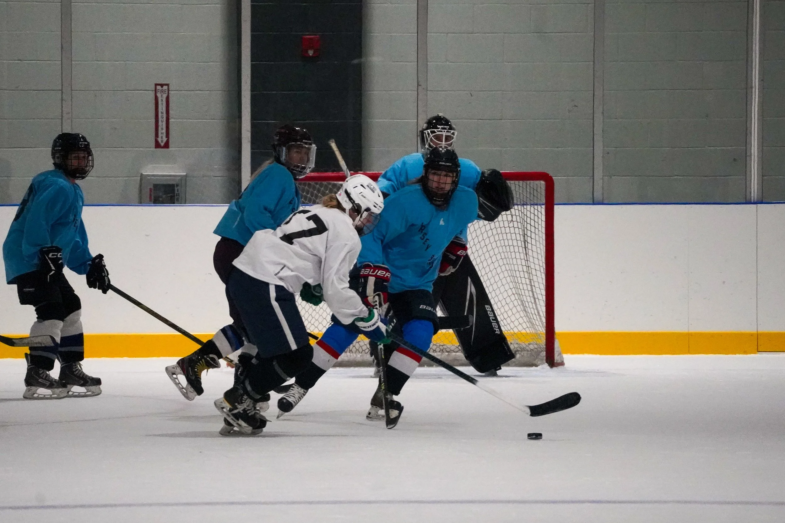 2026.08.26 Jersey Birds Blue Jays vs Gulls-27.jpg