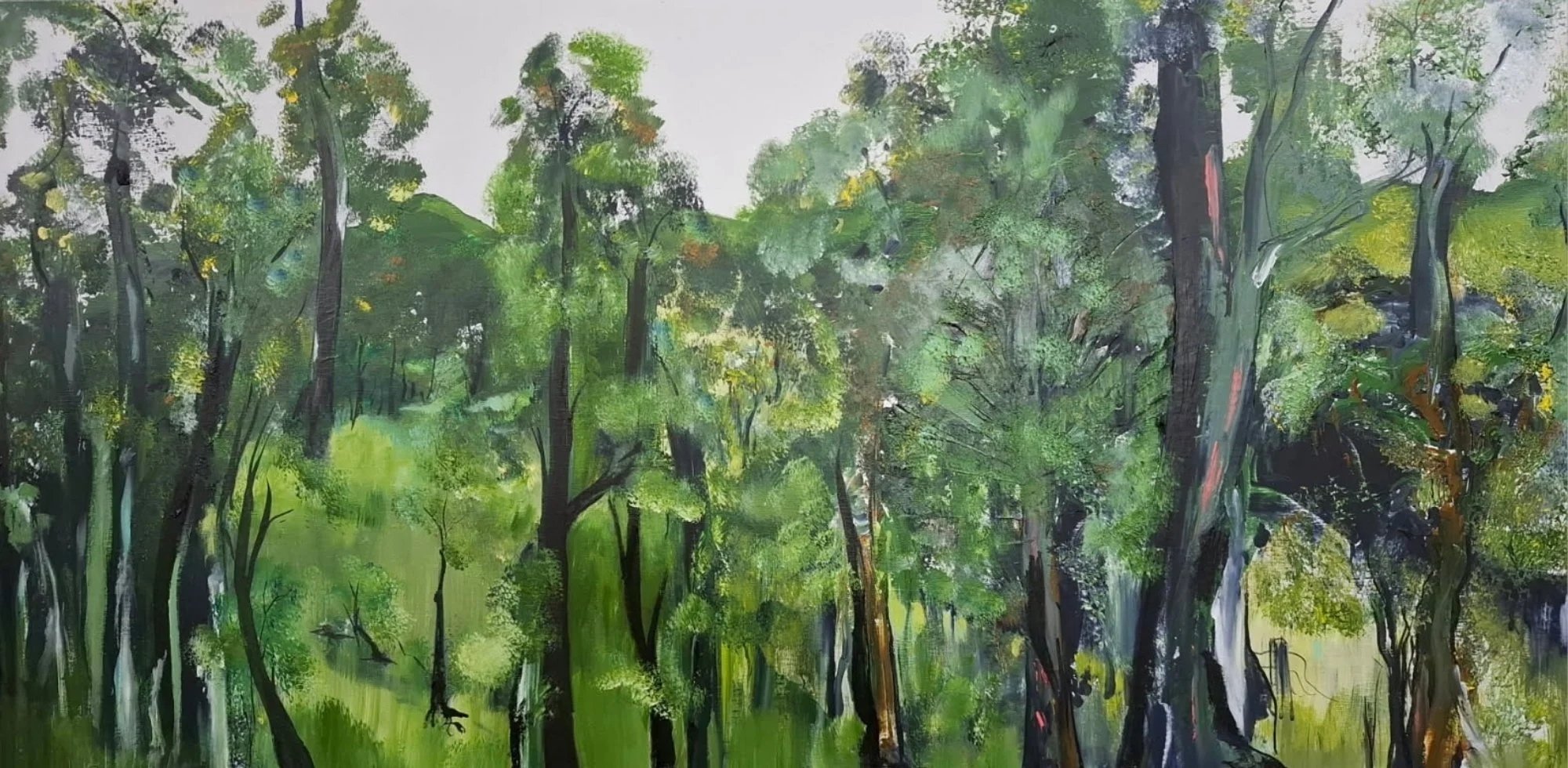 Hinterland