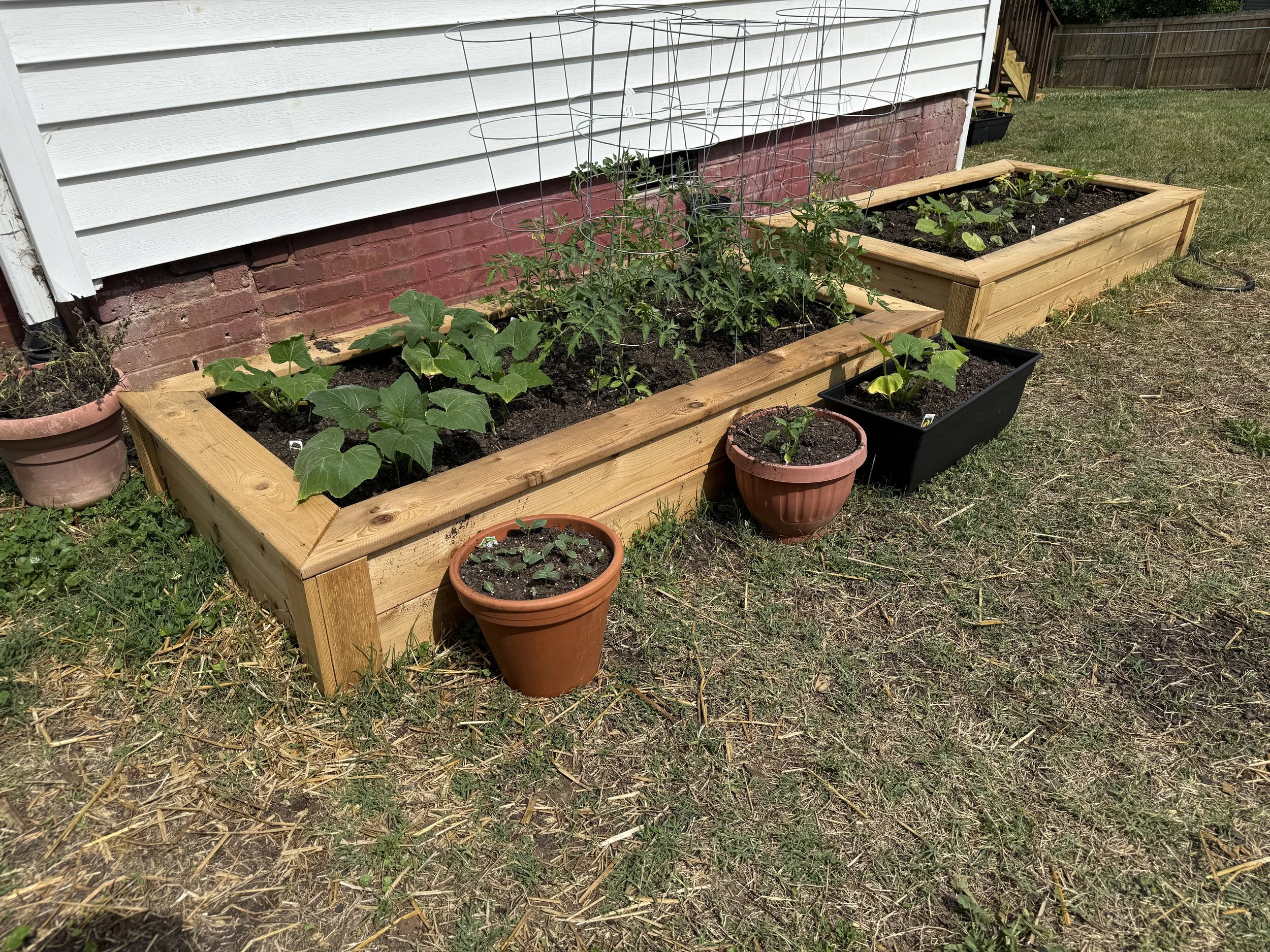 Cedar Garden Boxes