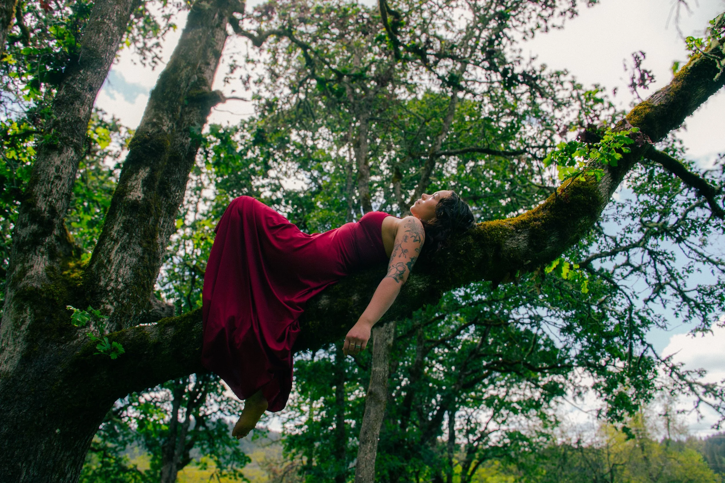 Tree_1.jpg
