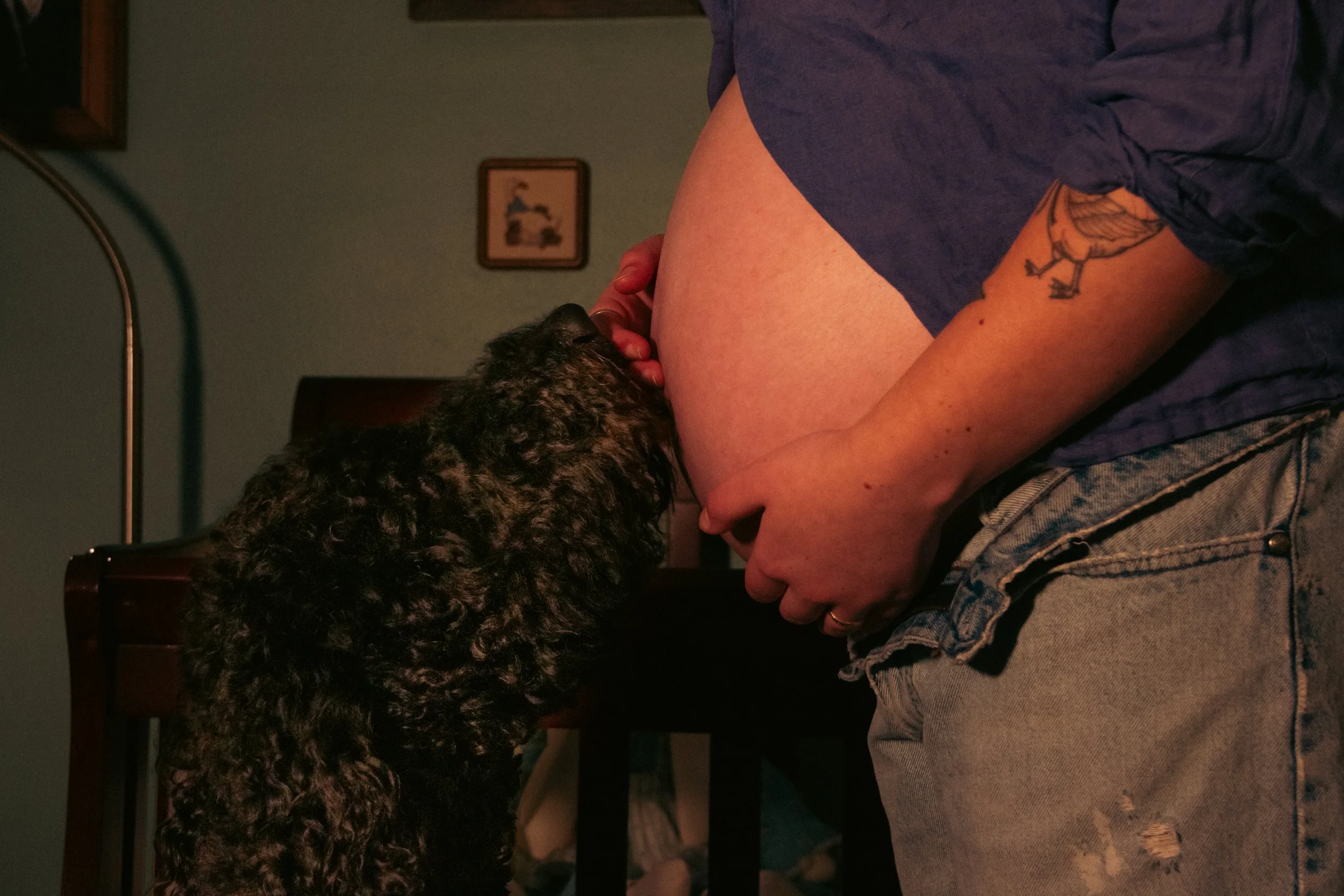 Morrison_Maternity_6.jpg