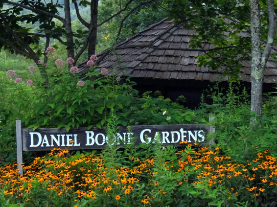The Sylvan Groove at Daniel Boone Native Gardens 