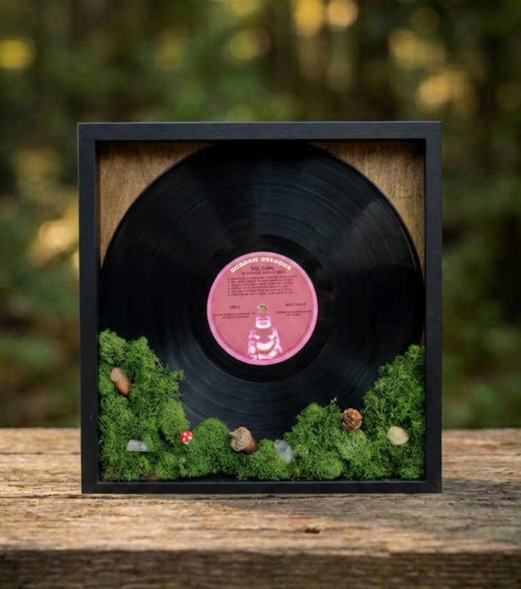 Custom / Build Your Own 12" Vinyl Record Shadow Box