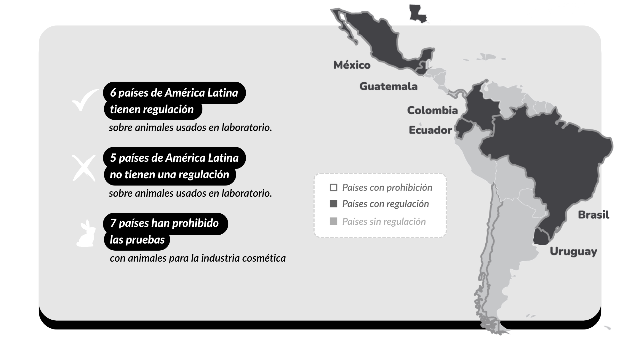Mapa de América Latina con países en diferentes niveles de regulación sobre animales usados en laboratorio, incluyendo México, Guatemala, Colombia, Ecuador, Brasil, Uruguay y otros. Leyenda que indica países con prohibición, regulación o sin regulación.