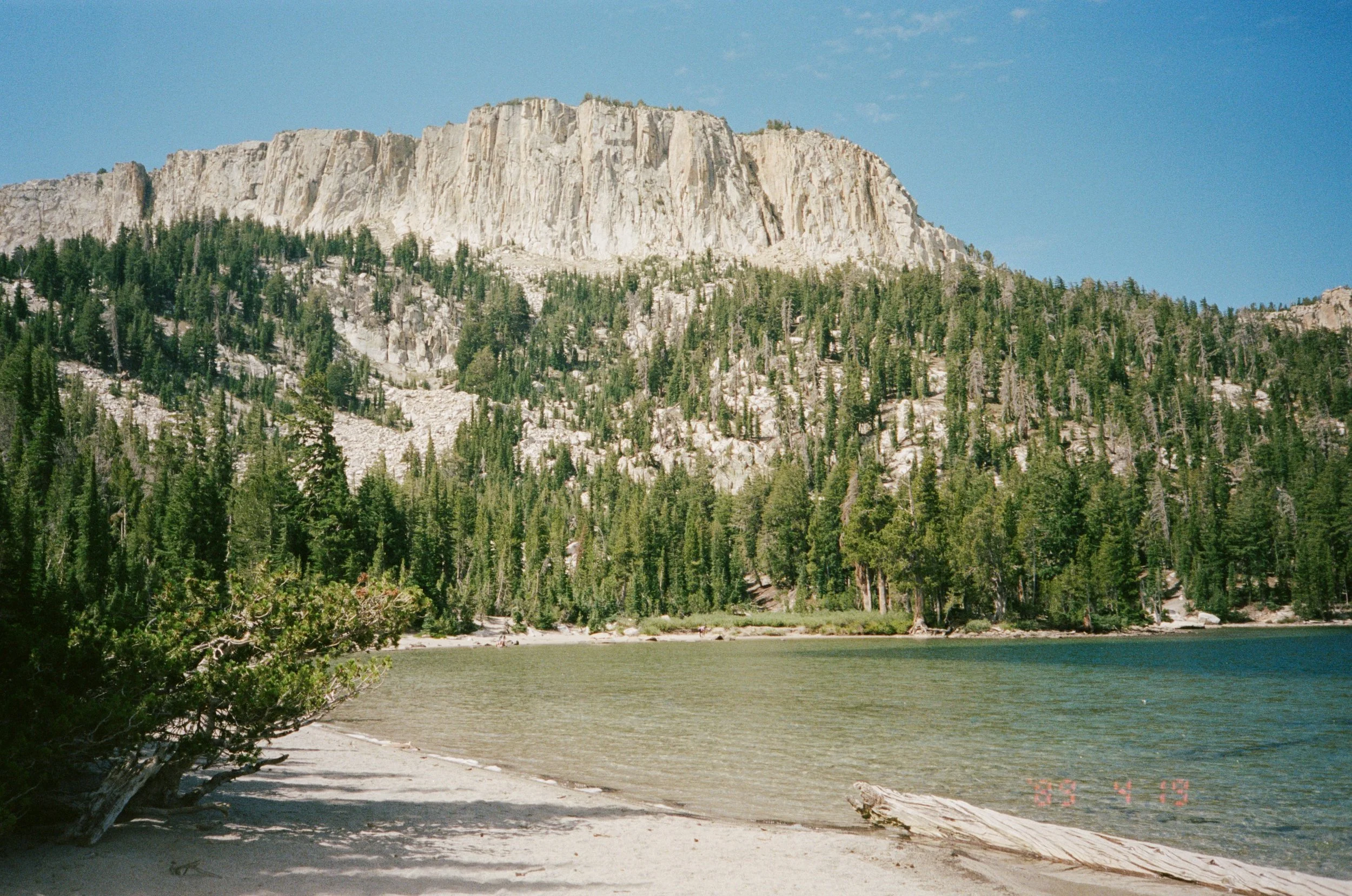 8716-31.jpg
