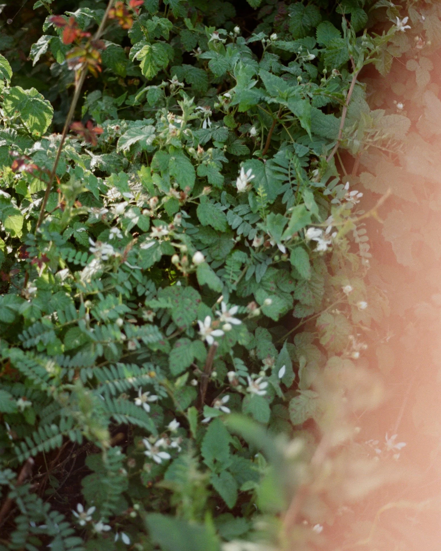 Sarah Bennett Photography_maggie_sam-69.jpg