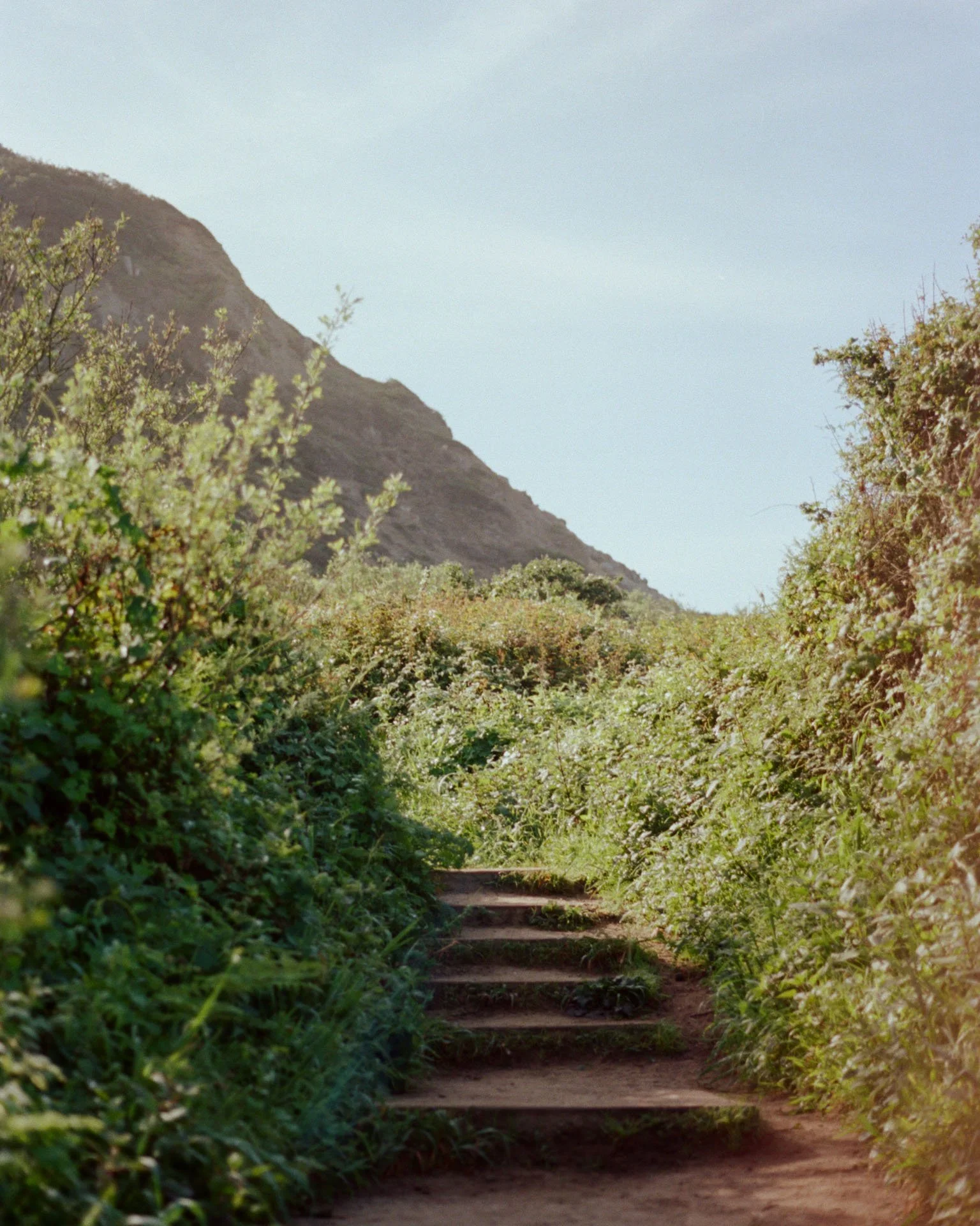 Sarah Bennett Photography_maggie_sam-71.jpg