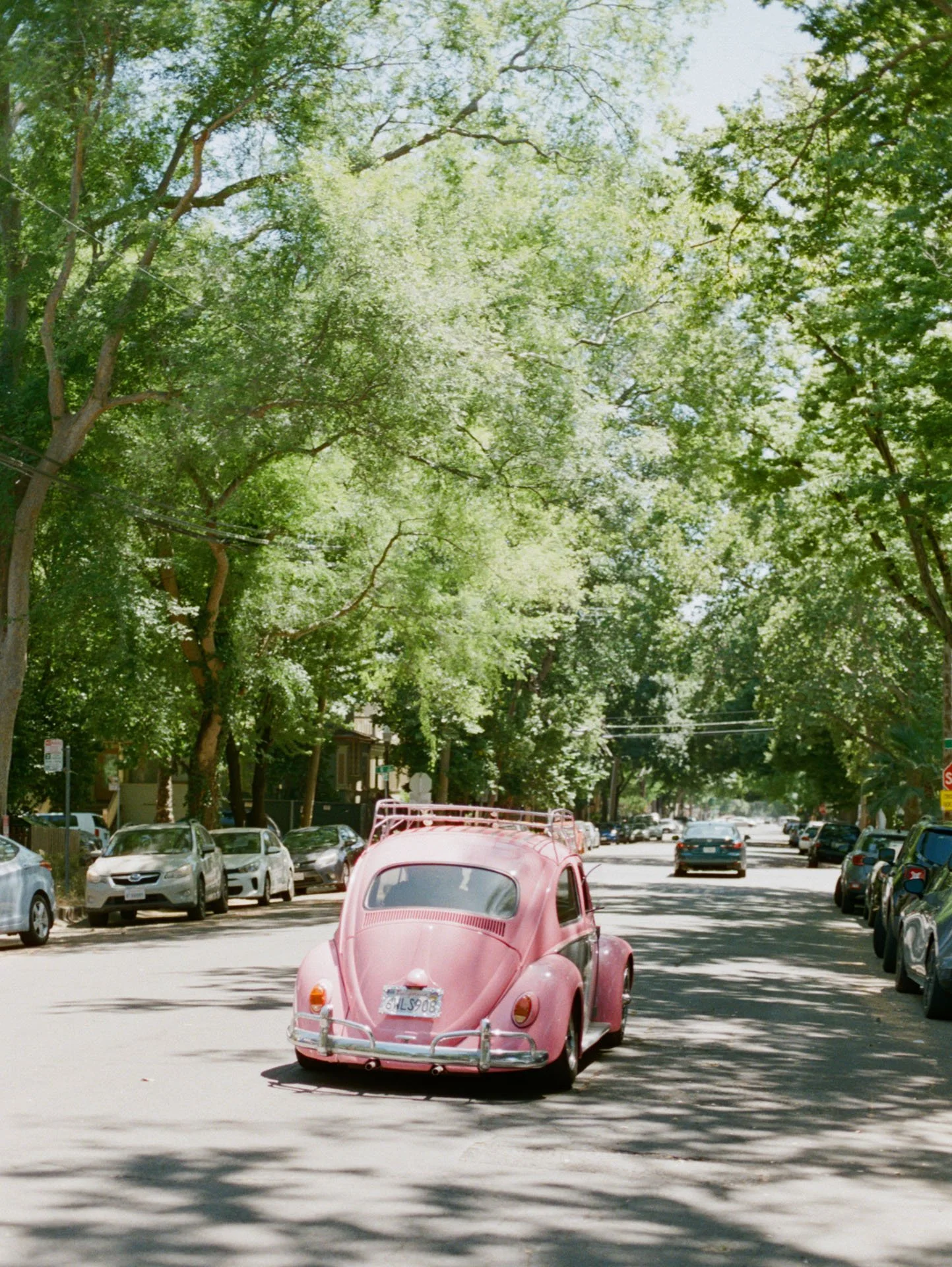 Sarah Bennett Photography_Chapter 1_Megan_Fernando_Wedding-74.jpg