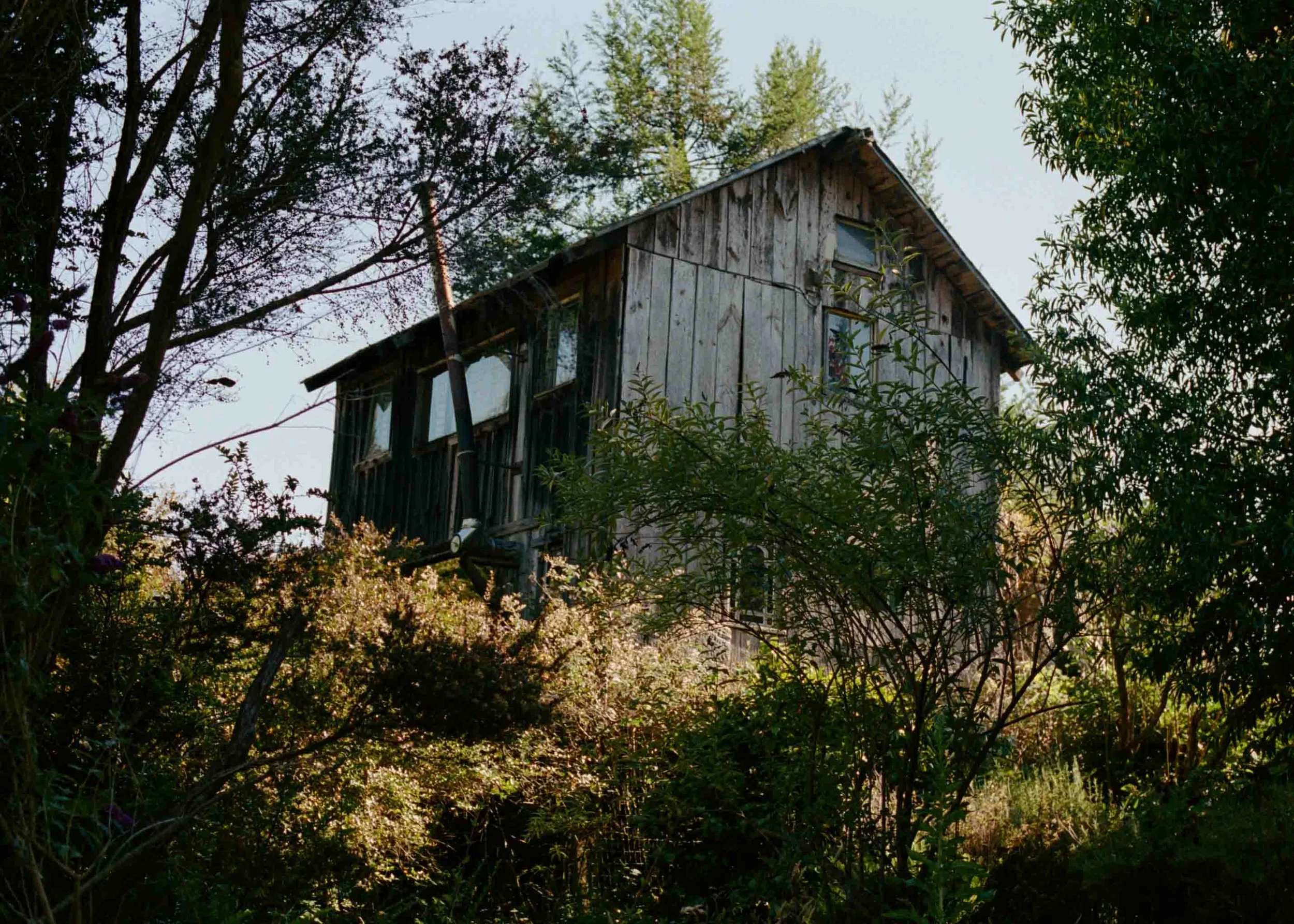7231-07.jpg