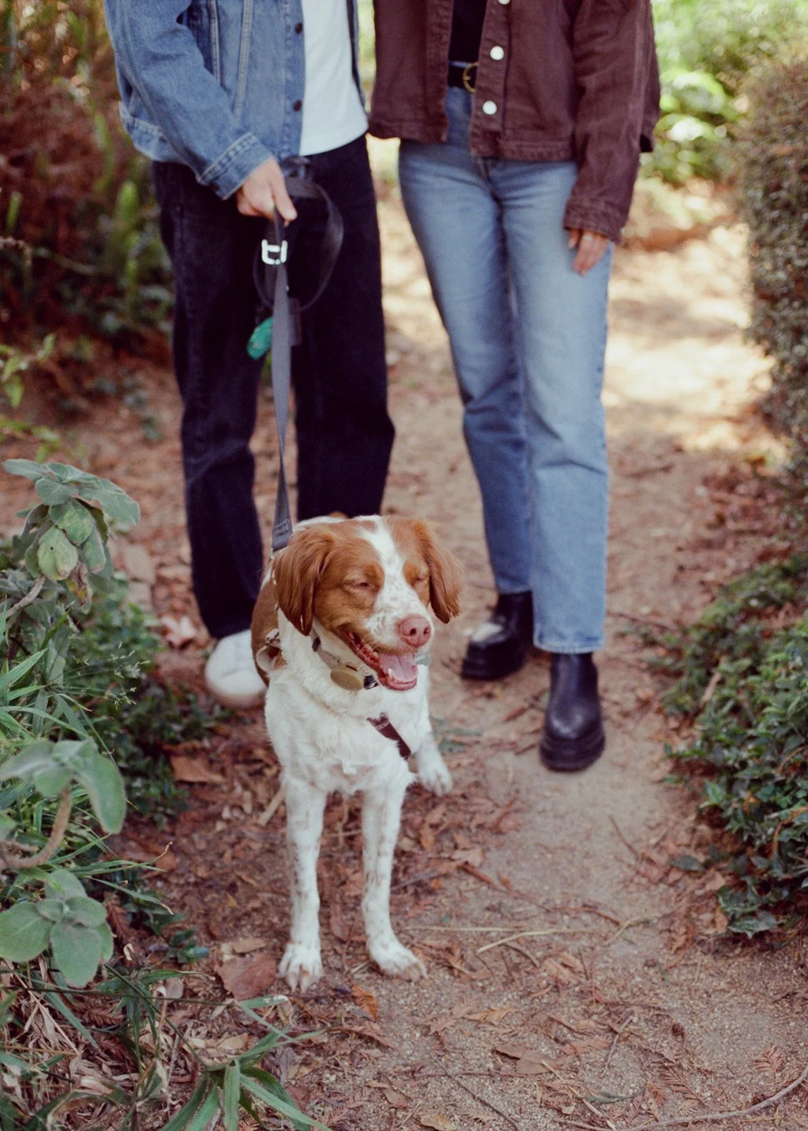 Sarah_Ryan_ParkDate-52.jpg