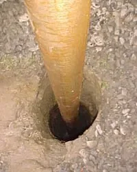 Borehole
