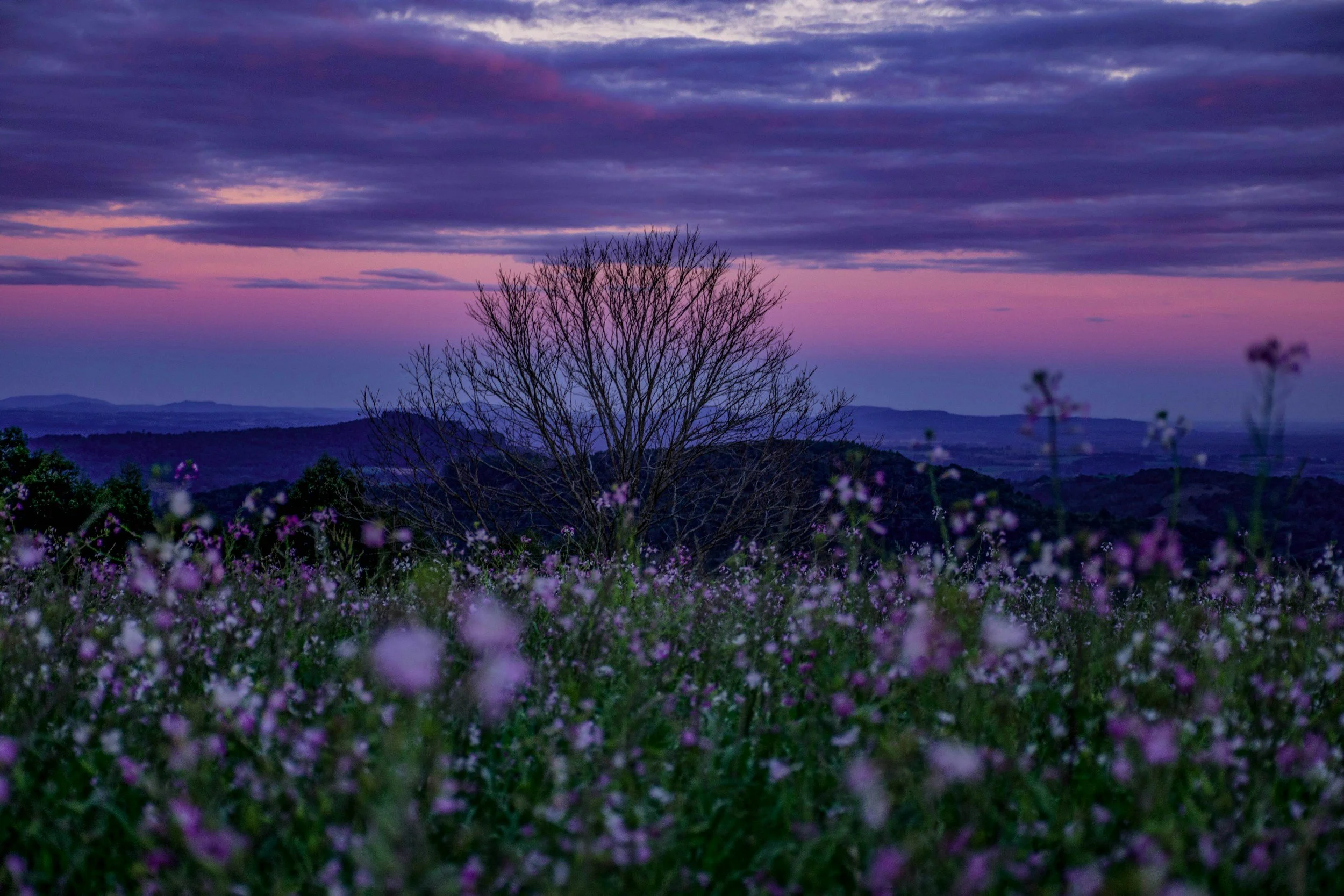 Dying with Peace and Fearlessness