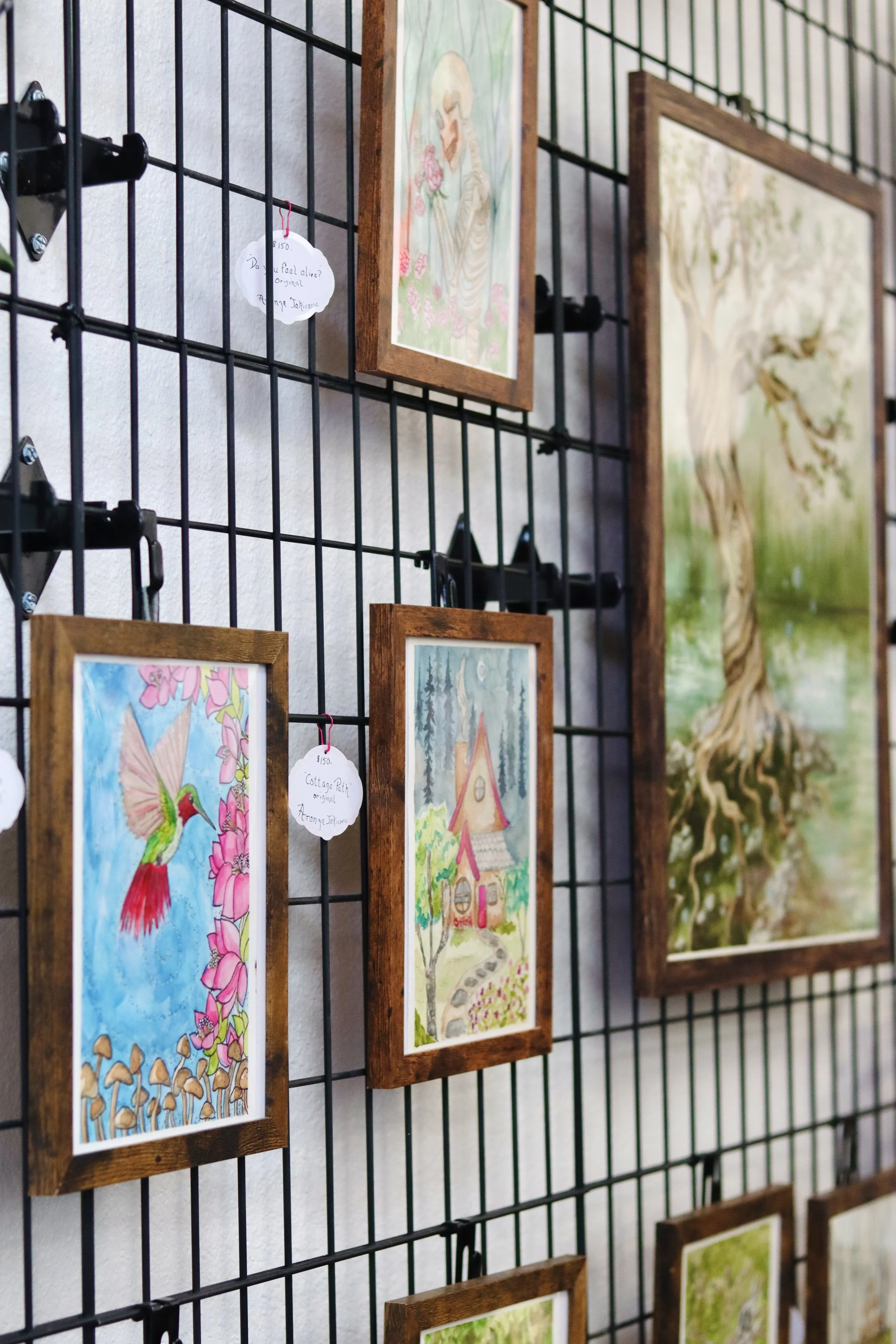 A display of framed illustrations and paintings of trees and landscapes on a black wire grid panel.