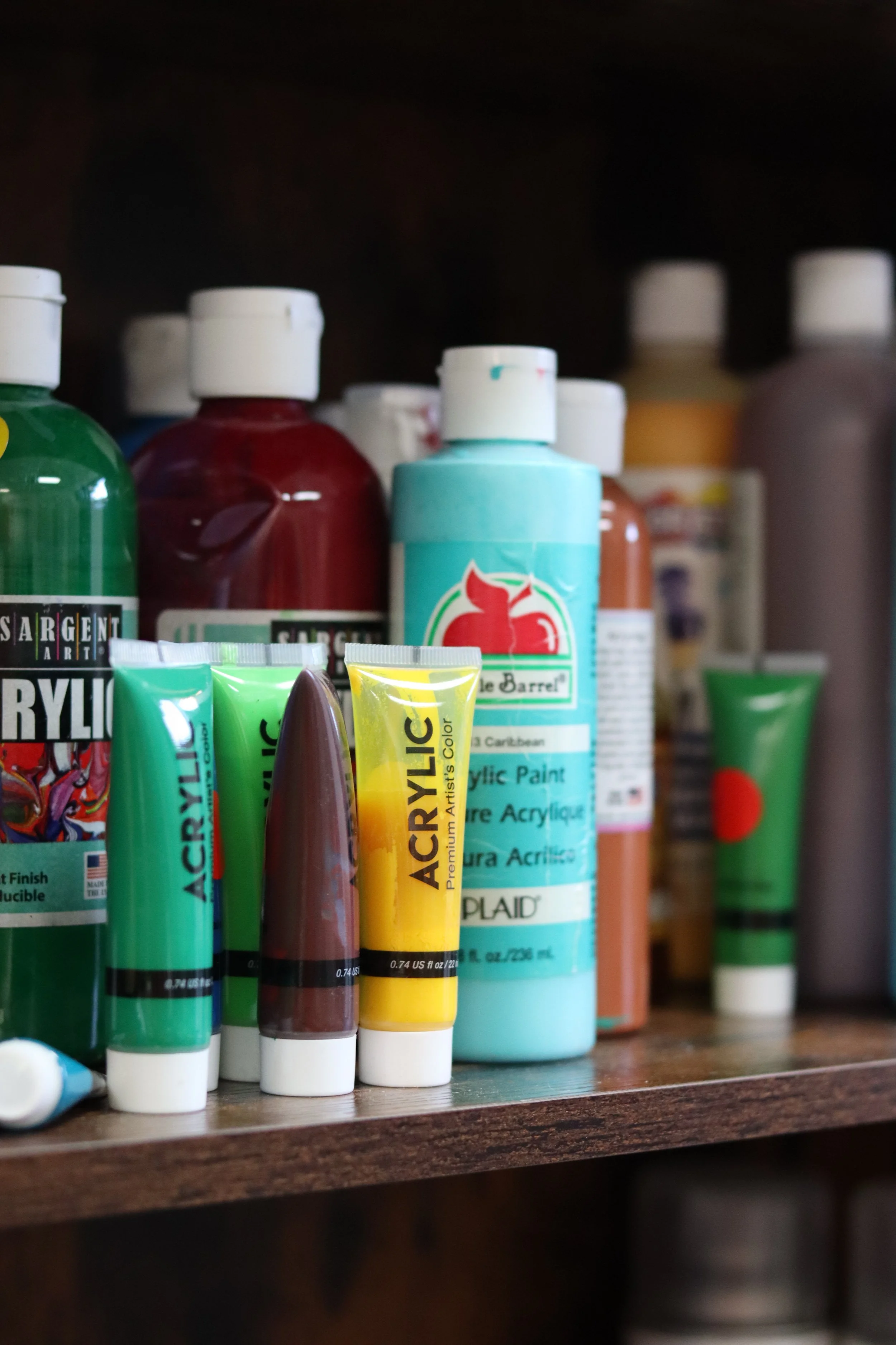 Assorted acrylic paint bottles and tubes arranged on a wooden shelf.