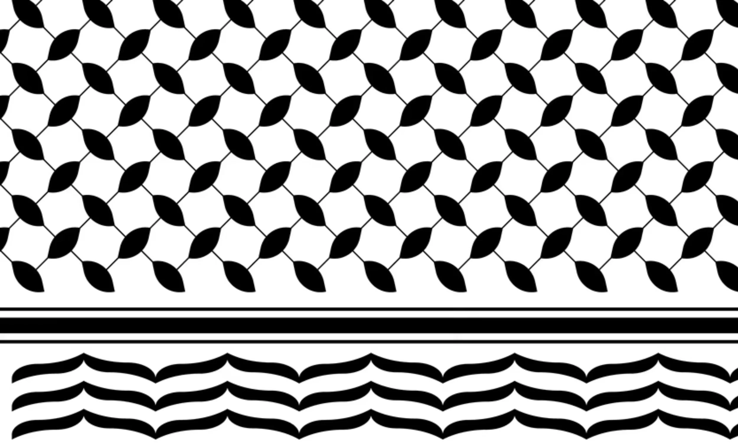 The Palestinian Keffiyeh pattern.