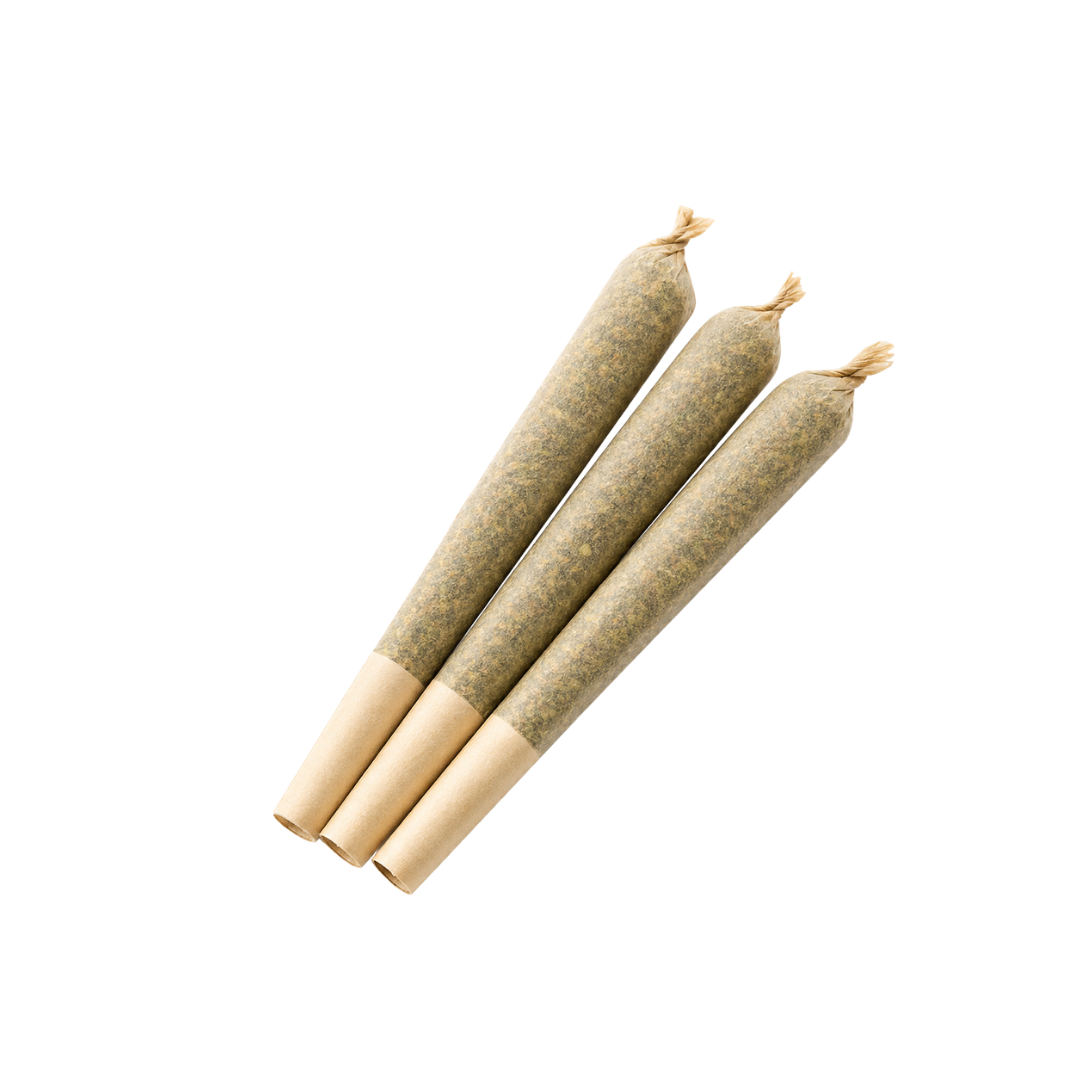 Three pre-rolled cannabis joints with filter tips, overlapping and arranged parallel.