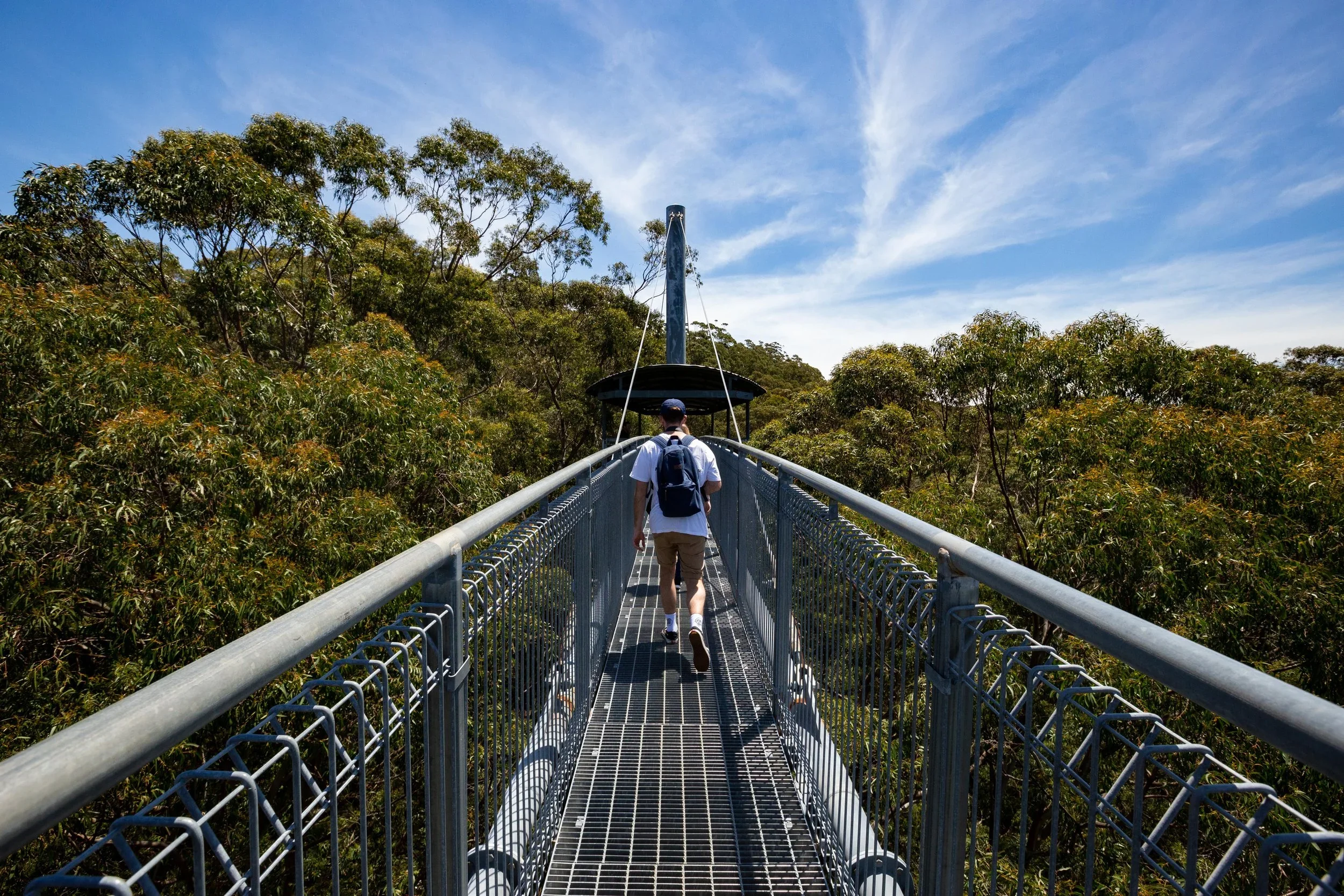 A person walking down a suspended metal skywalk through a forested area on a clear day with blue sky and wispy clouds.