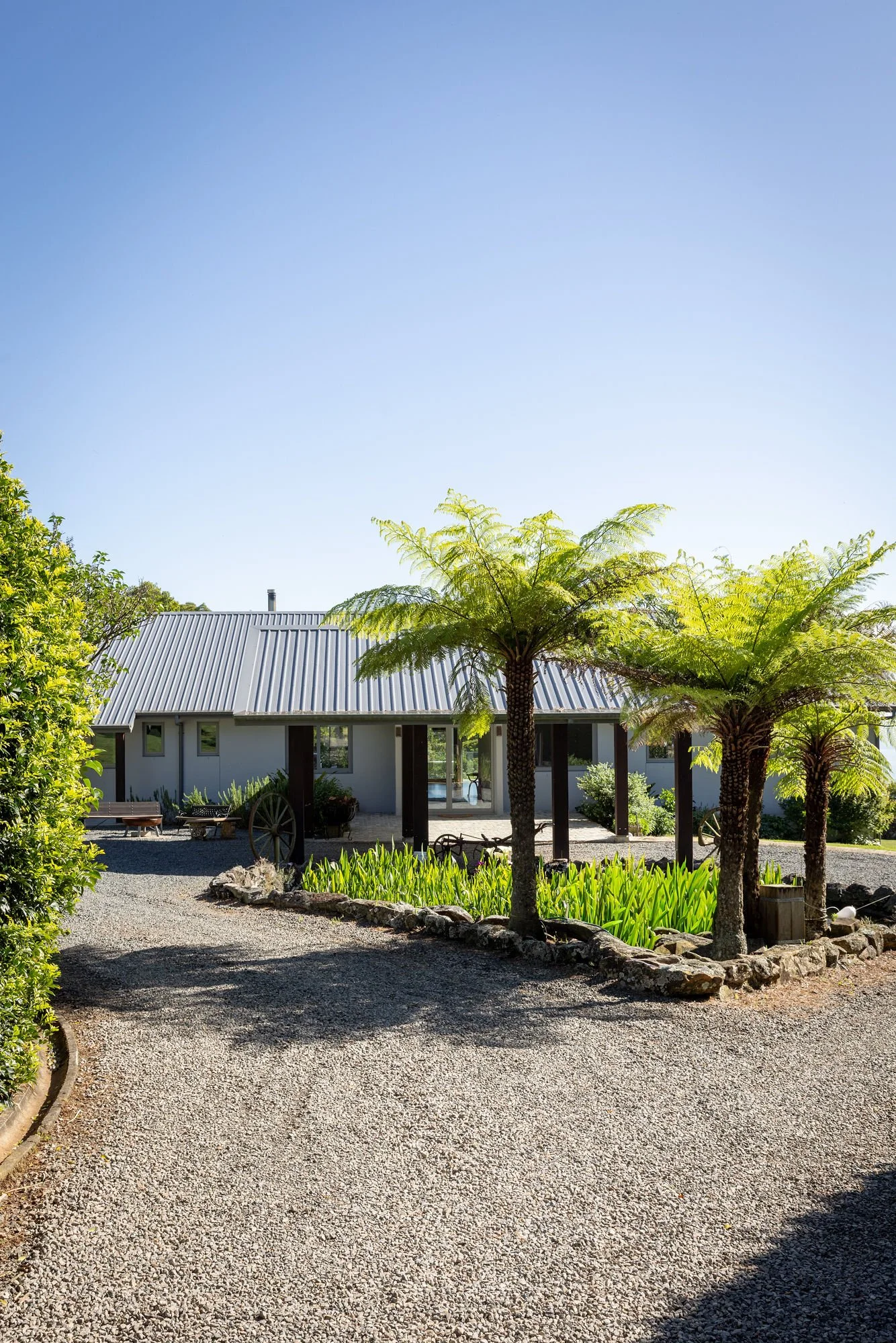 A house with a corrugated metal roof surrounded by lush green plants, trees, and a gravel pathway in a garden setting.