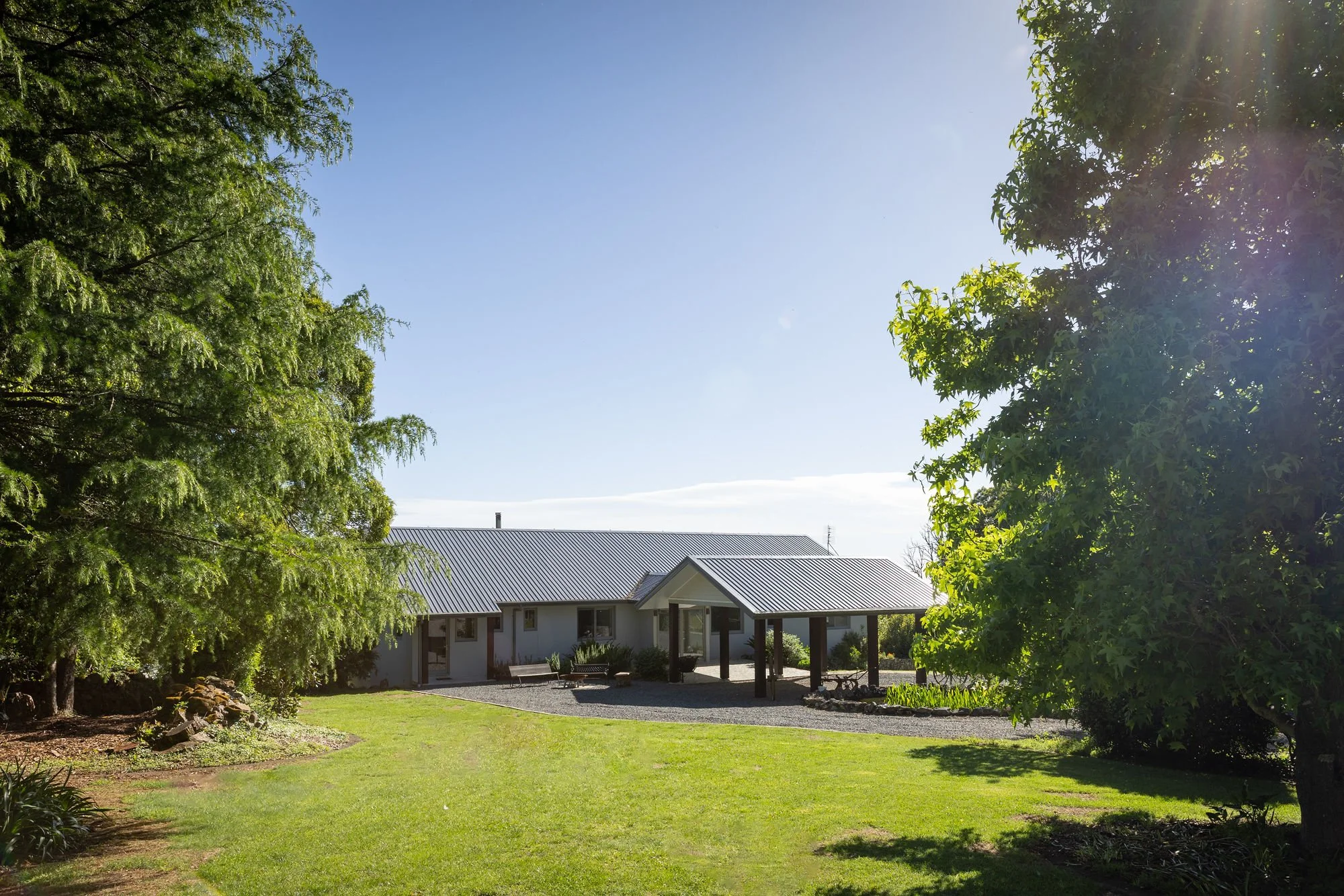 A backyard garden with lush green grass, trees on either side, and a house with a metal roof in the background. The sky is clear and sunny.