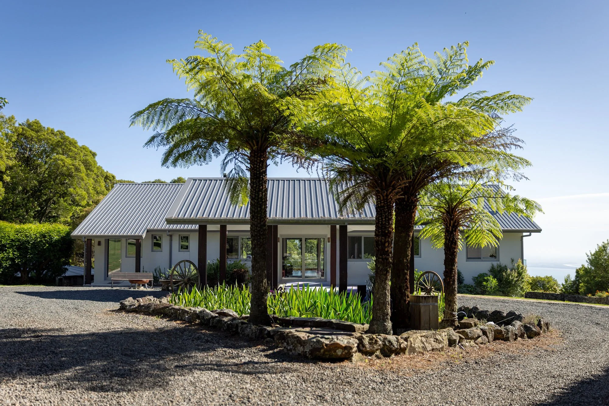 A house with a metal roof and large windows, surrounded by palm trees and a garden with green plants, under a blue sky.