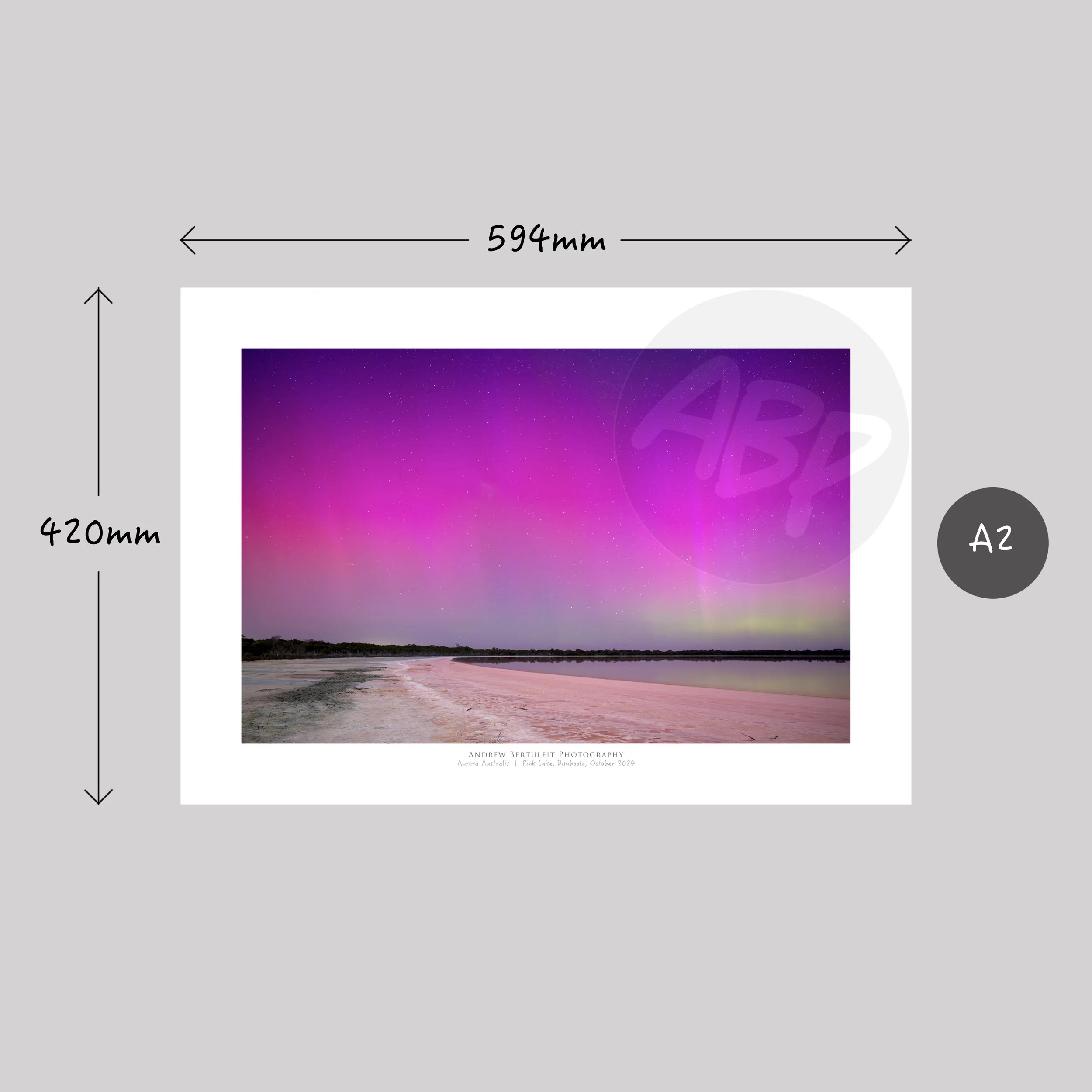1382.jpg