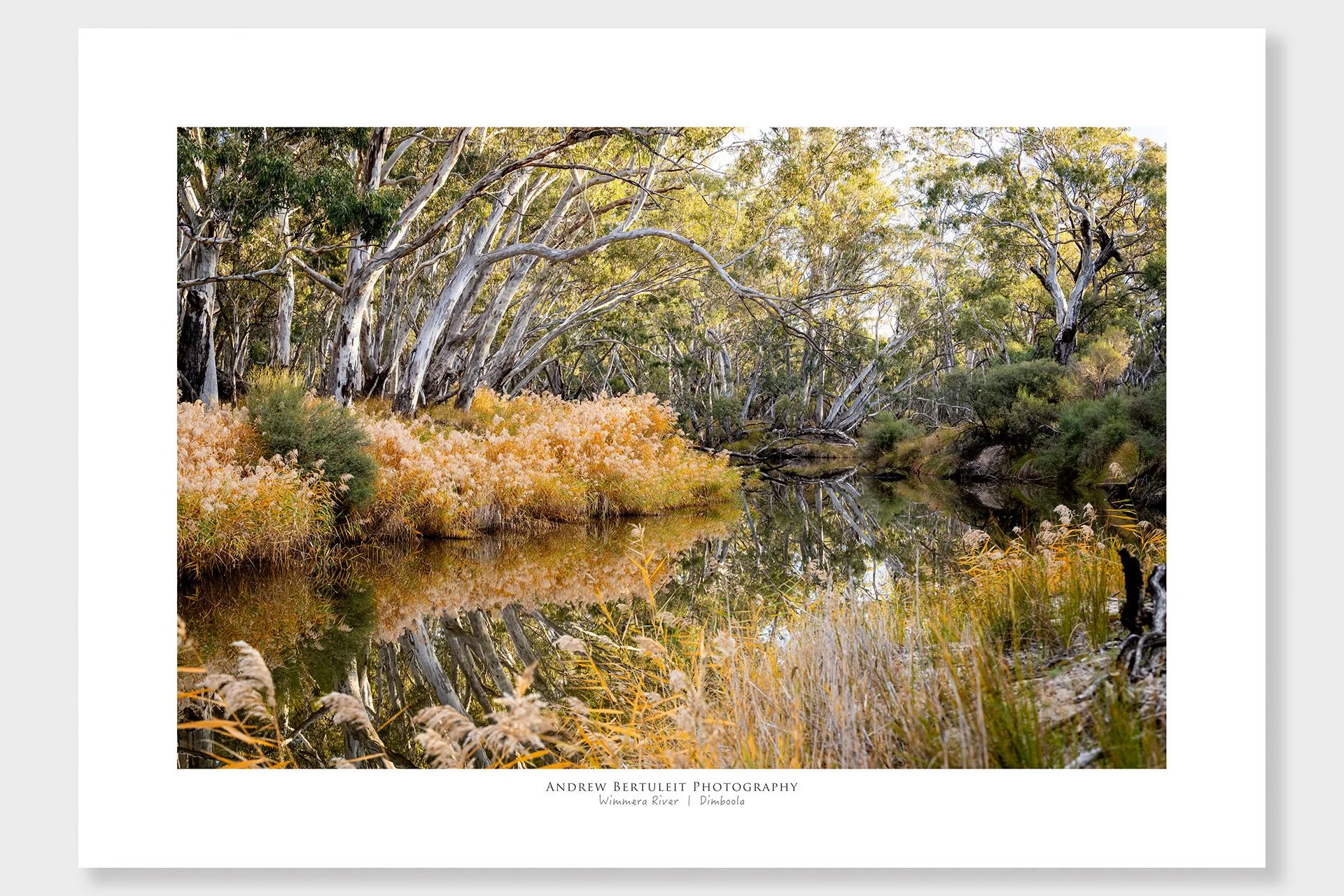 Wimmera River Dimboola print with white border, ready for a standard frame.