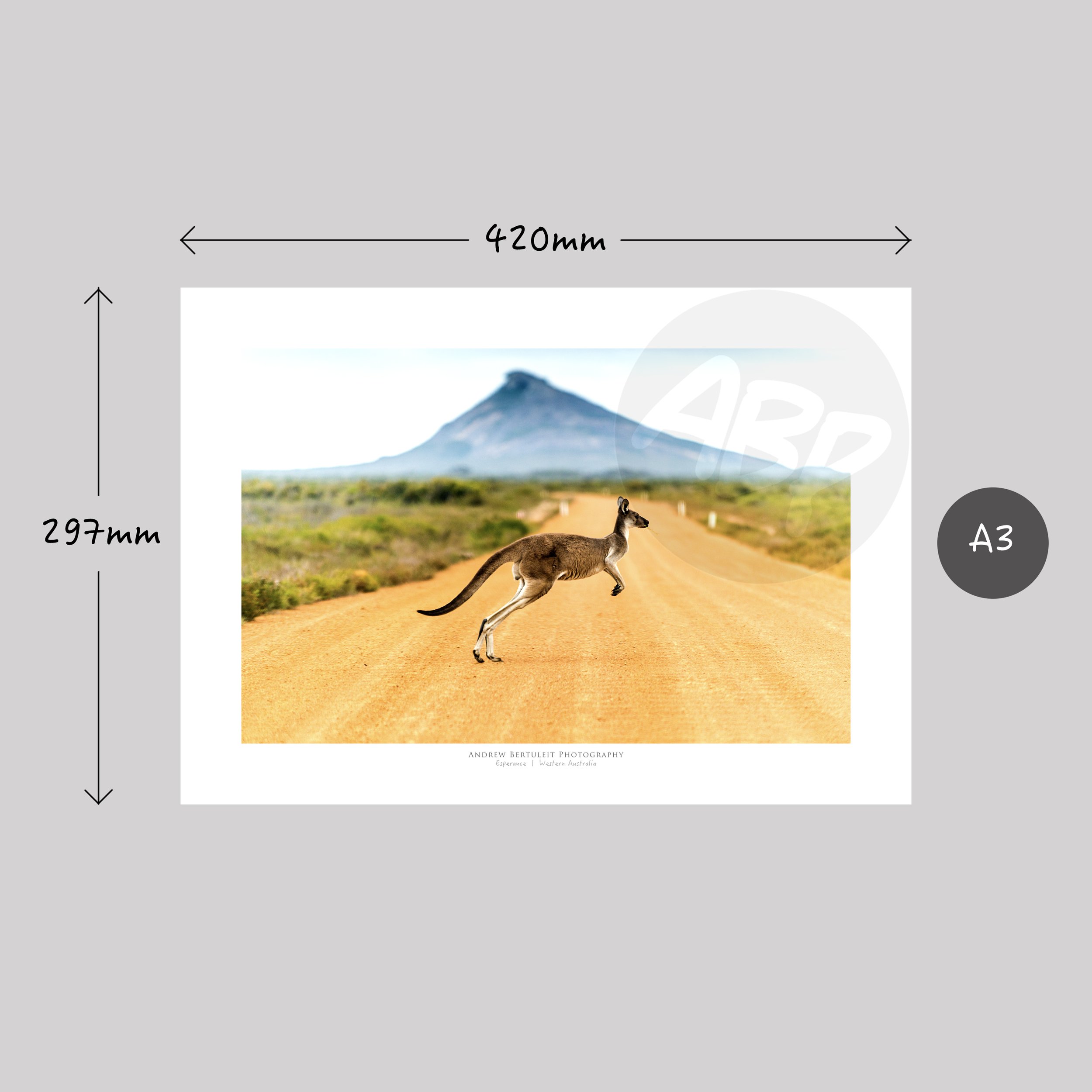 1399.jpg
