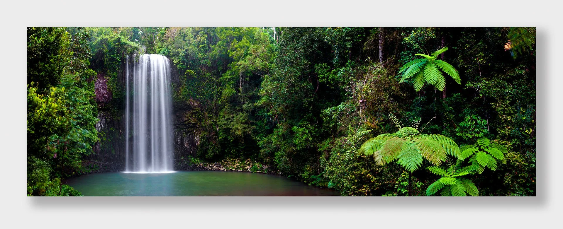 Panorama of Millaa Millaa Falls on the Atherton Tablelands, Queensland, pouring into a still green pool surrounded by lush rainforest and tree ferns.