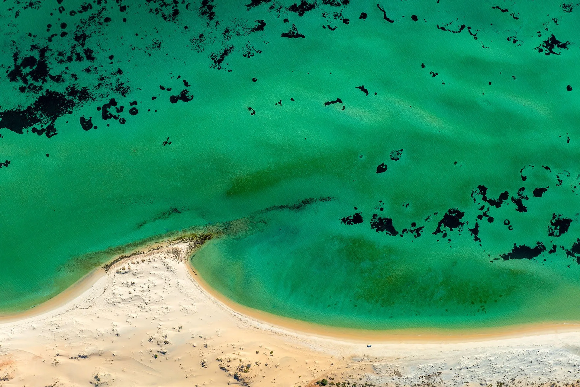 Cattle Well from the air, Shark Bay WA