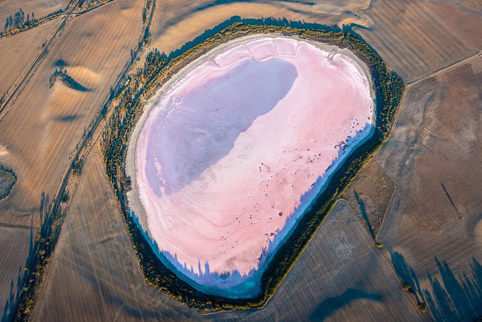 Aerial view of the whole Pink Lake near Dimboola, Victoria, a pink salt lake ringed by trees casting long shadows across surrounding golden paddocks.