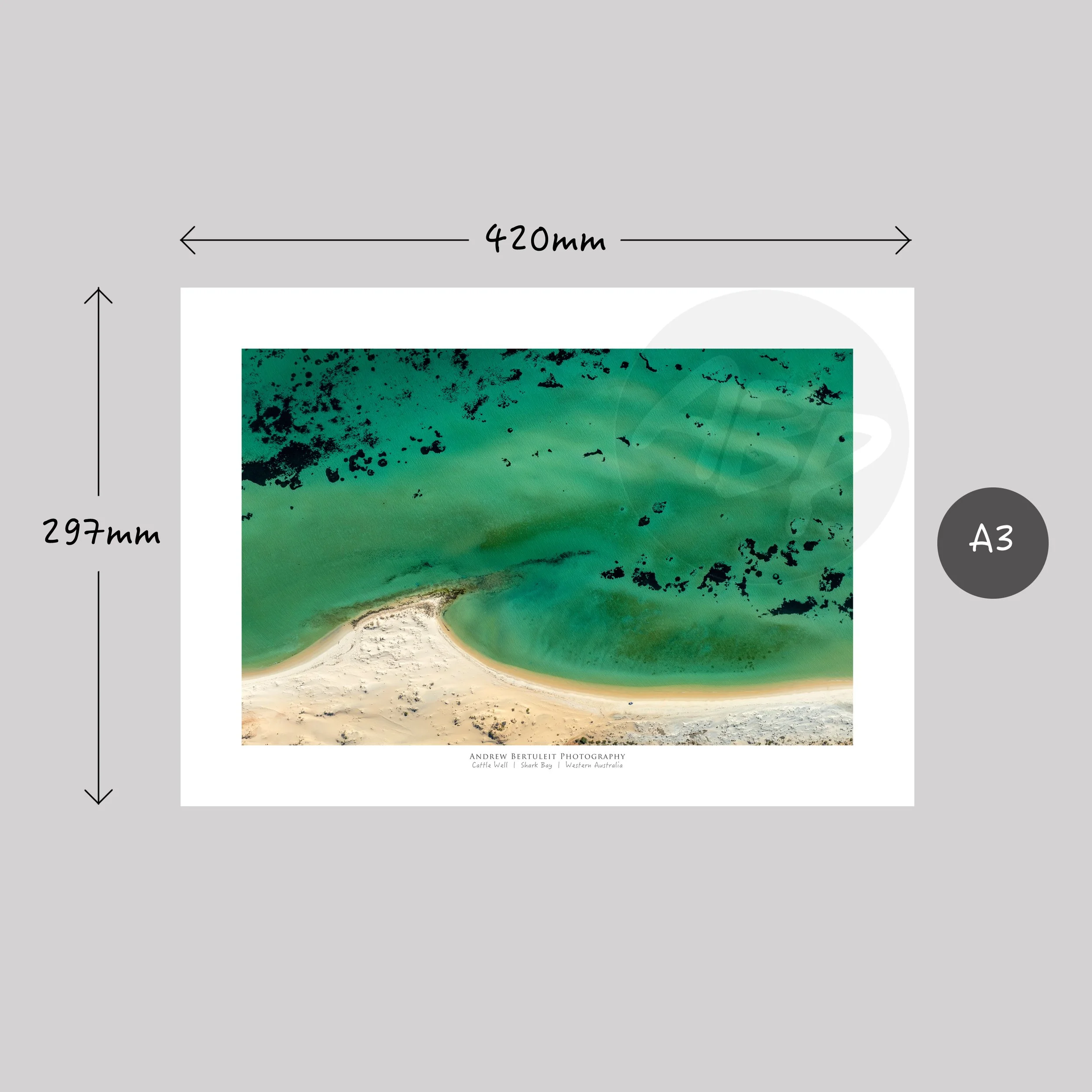 1581.jpg