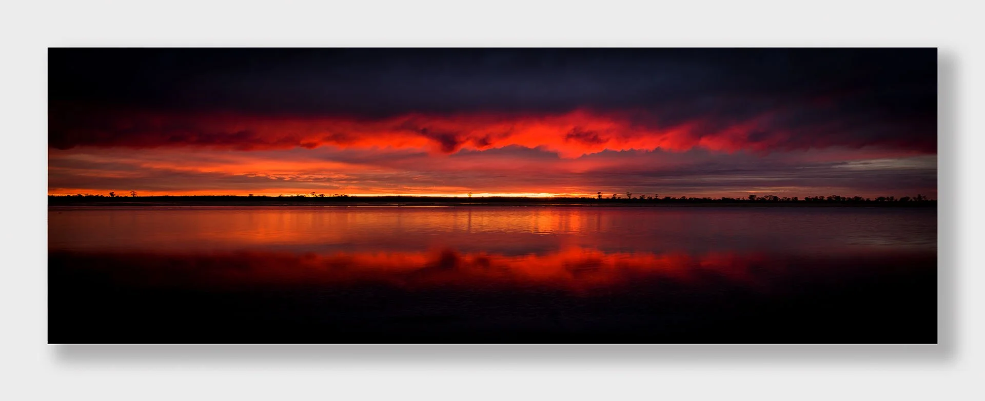Panorama of a fiery red sunrise under dark storm clouds reflected in Lake Brown, near Mukinbudin in the Wheatbelt, Western Australia, with silhouetted trees on the horizon.