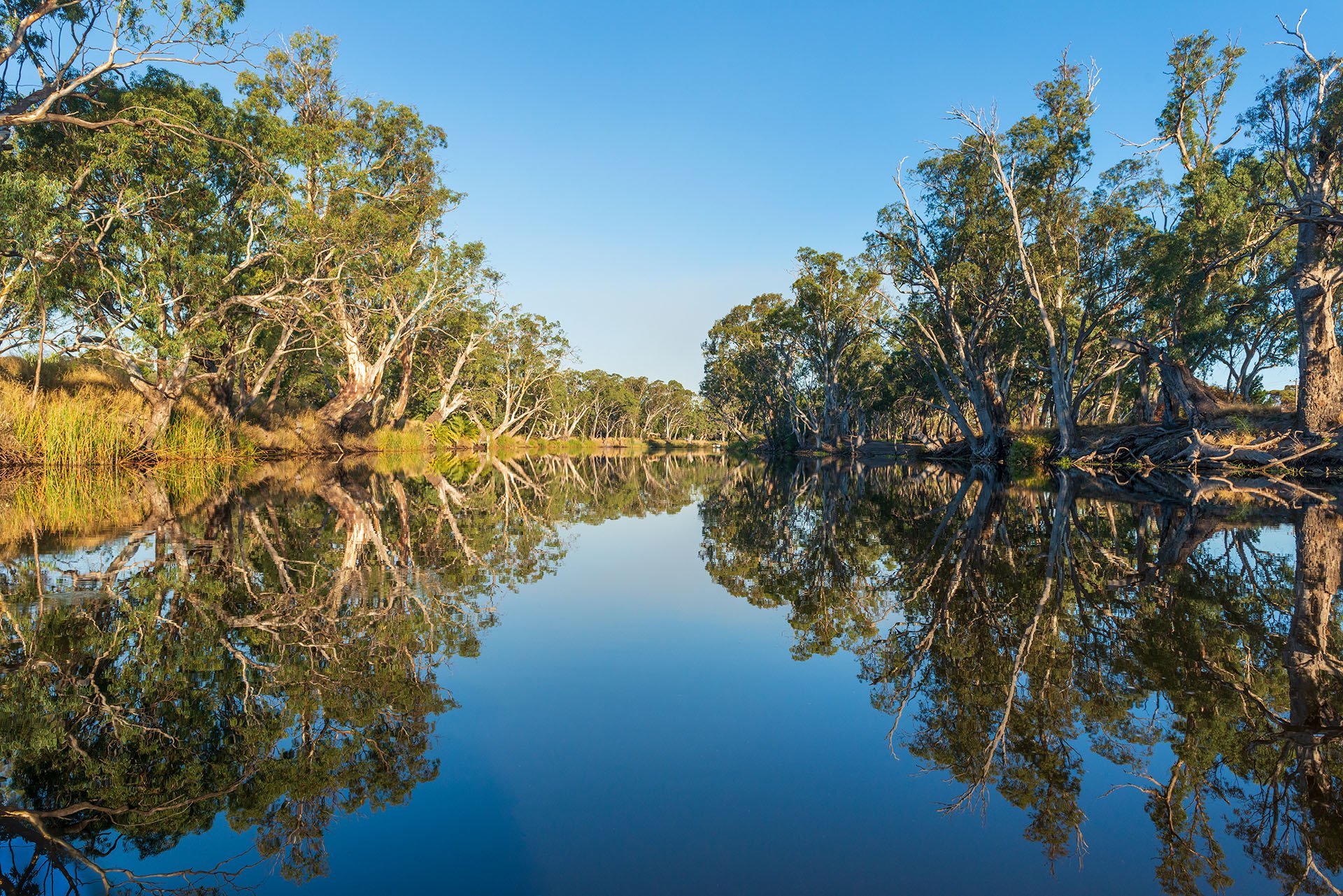 Wimmera River reflections on a sunny day