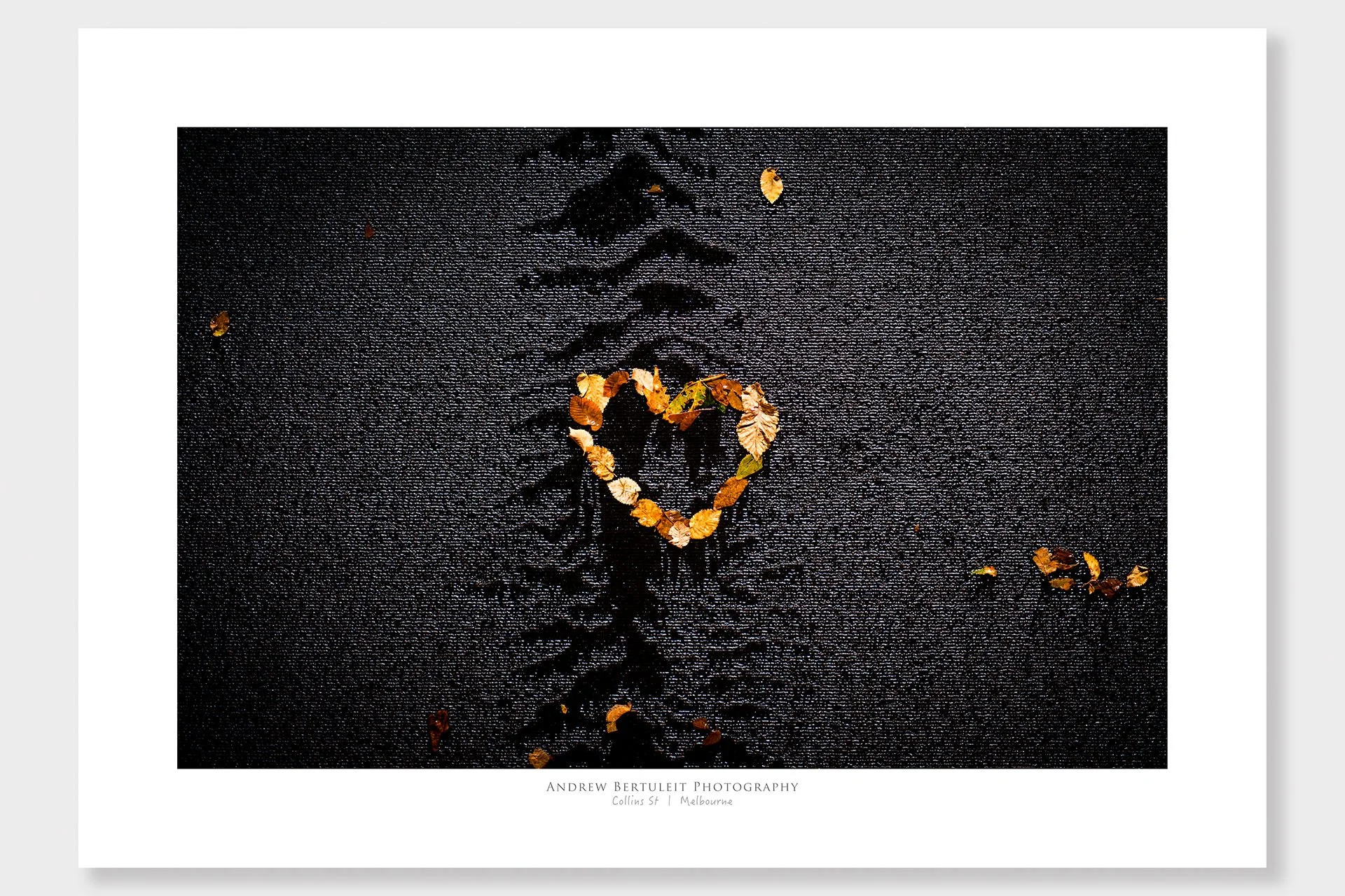 Melbourne autumn leaf heart print with white border, ready for a standard frame.