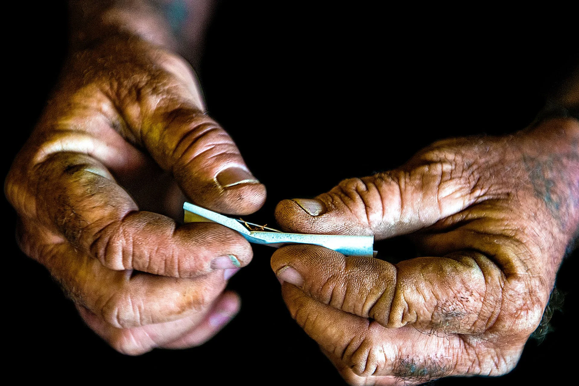 Close up of a worker's hands rolling a cigarette