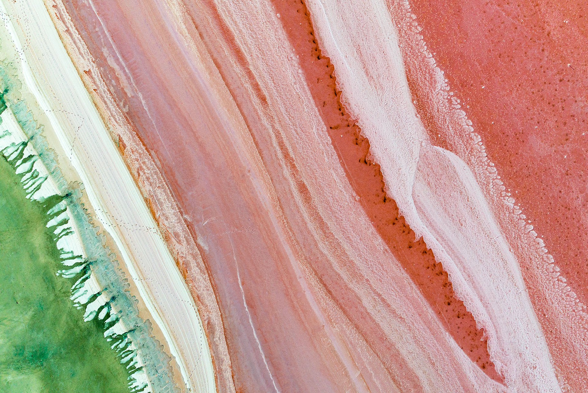 Abstract drone view of the Pink Lake near Dimboola, Victoria, with bands of pink, coral and white salt crust meeting green water along the shoreline.