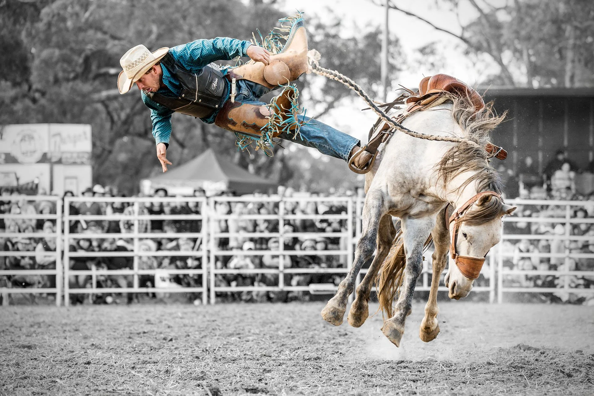 Oh No! Bronc Rider, Great Western Rodeo, VIC