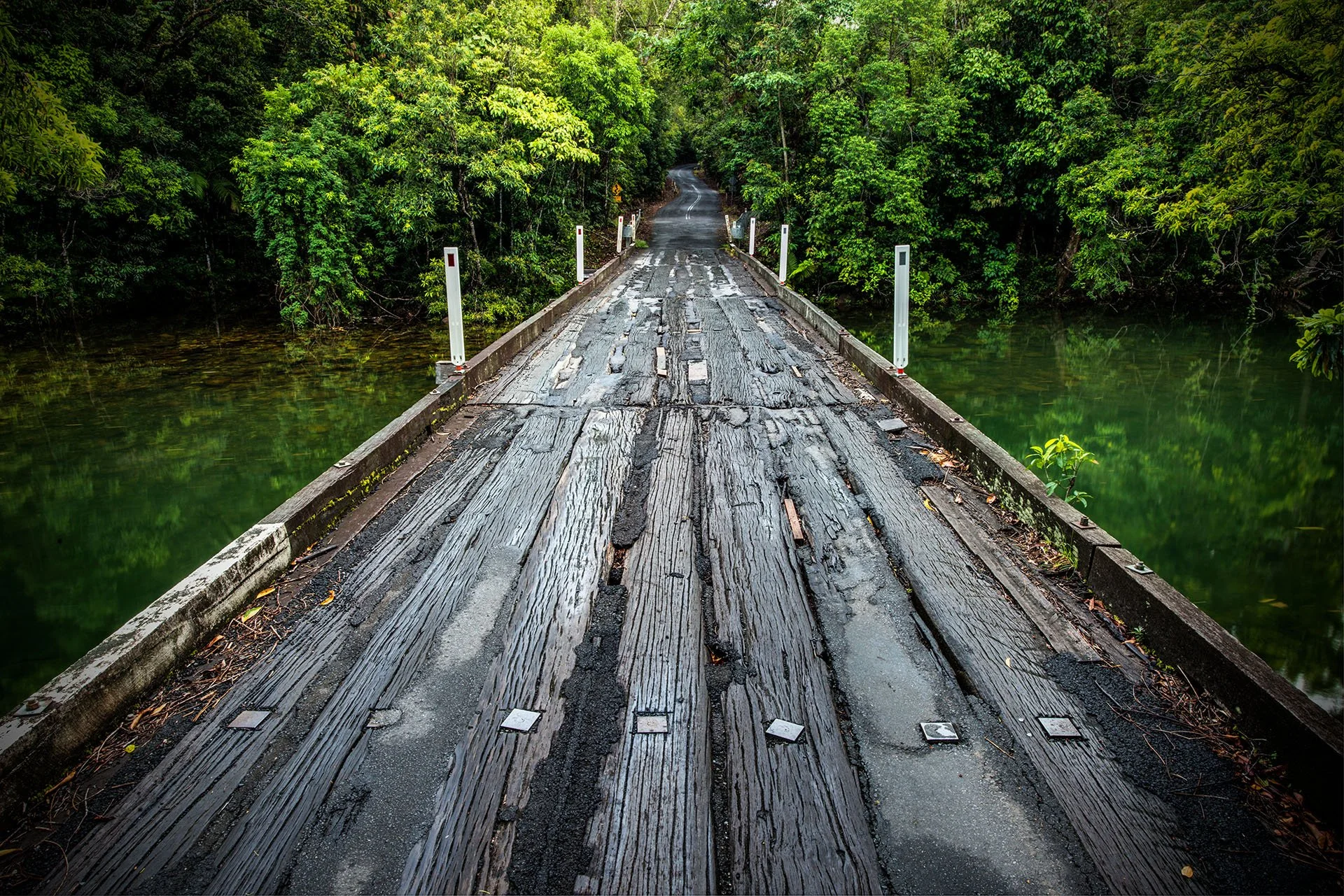 Old wooden bridge across a rainforest stream