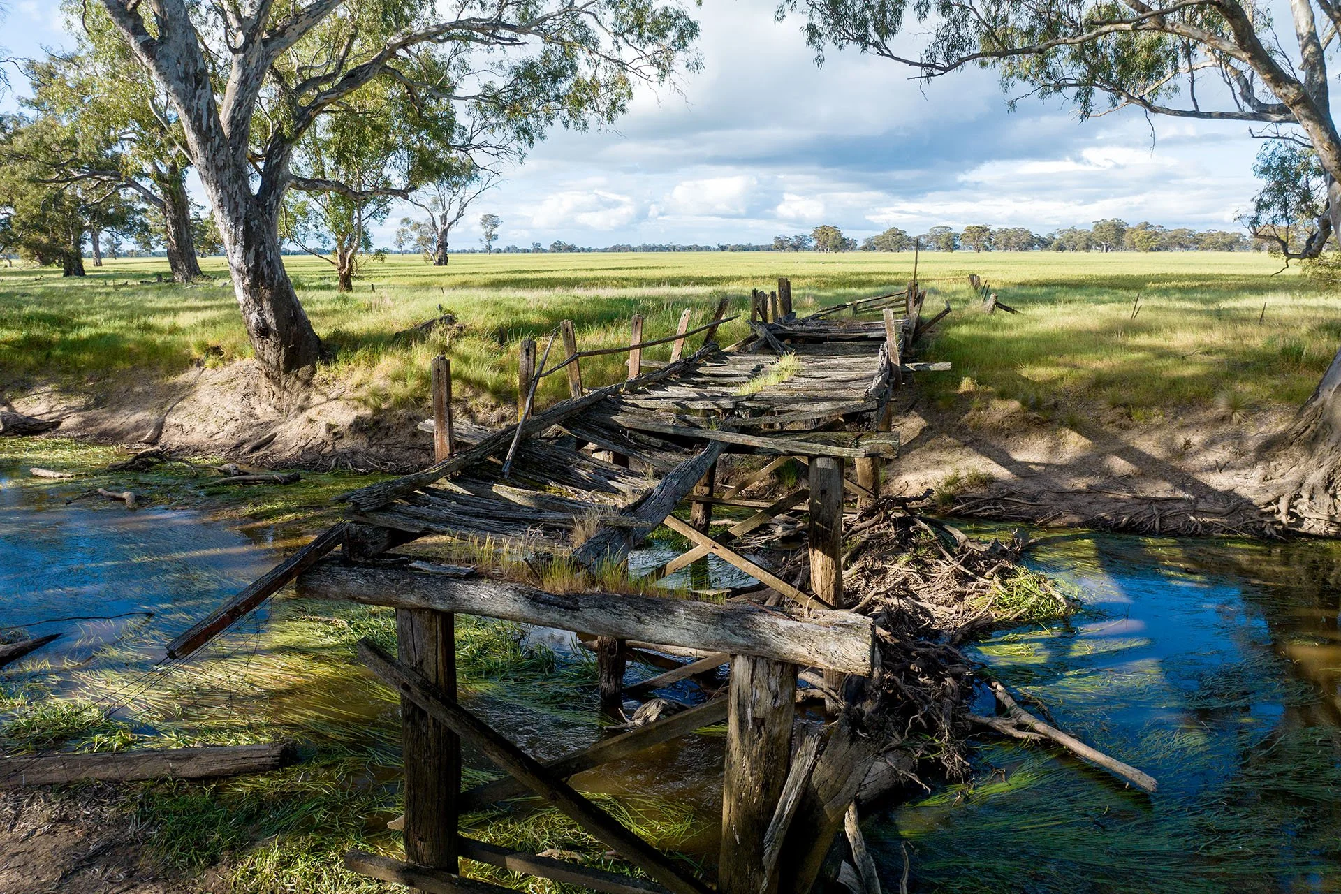 Dilapidated old wooden bridge surrounded by grasslands