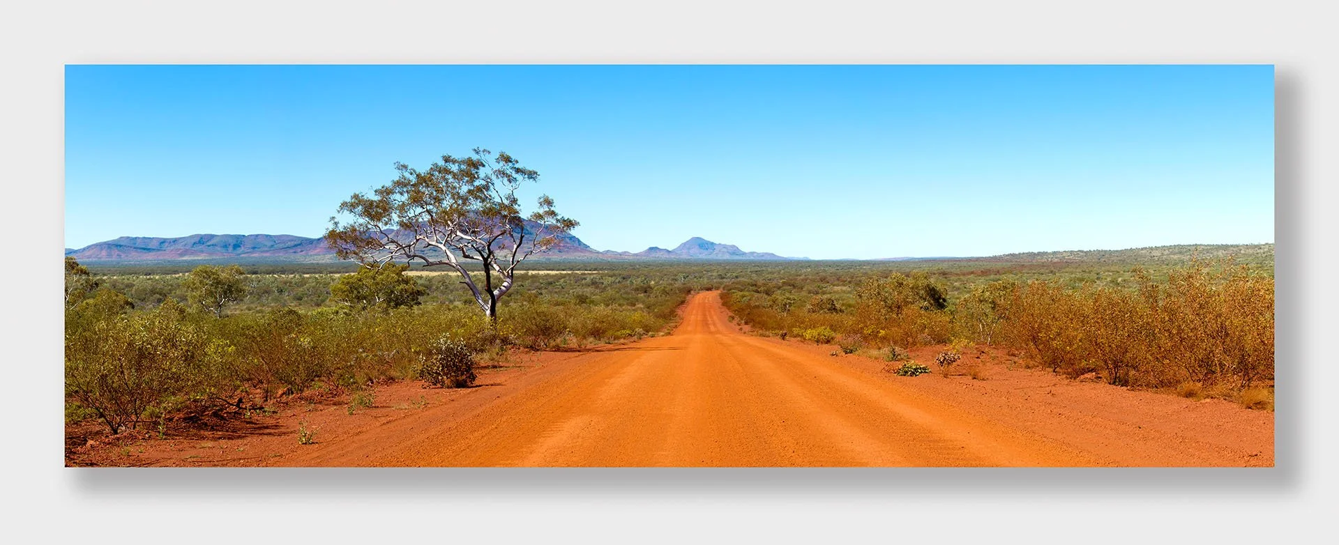 Panorama of a red dirt road through spinifex and scrub in Karijini National Park, Western Australia, past a white-trunked snappy gum, with the Hamersley Range on the horizon.