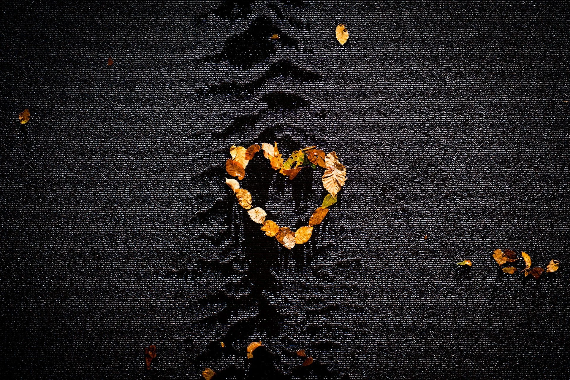 Heart shape made of golden autumn leaves stuck to a wet black wall with water running down its surface, corner of Collins and Swanston Streets, Melbourne.