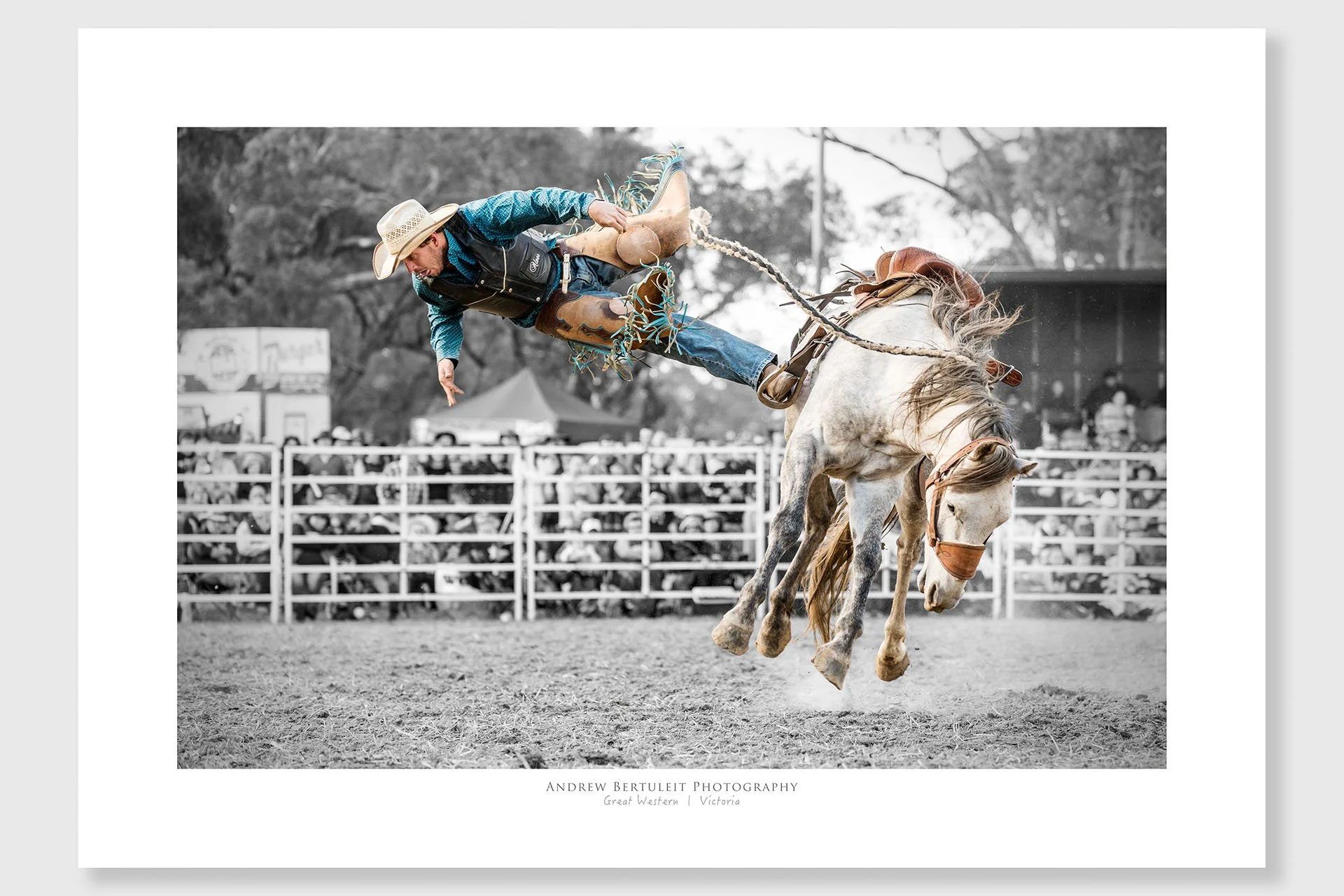 Rodeo print with white border, ready for a standard frame